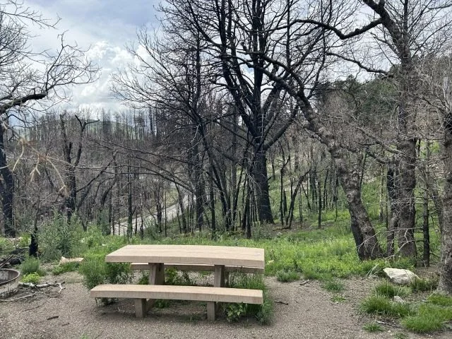 Forest Service photo showing Oak Grove Campground after the South Fork Fire.