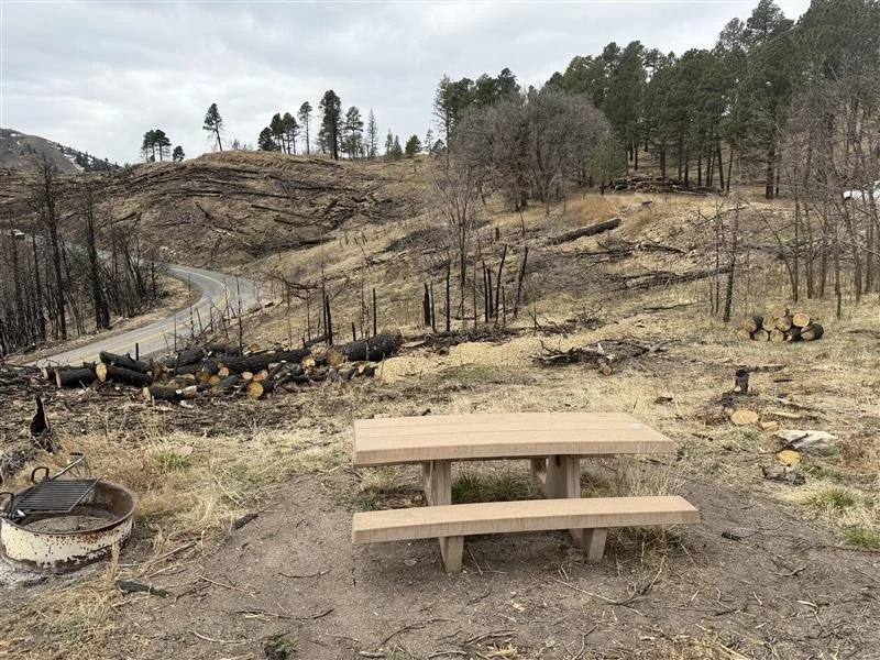 Forest Service photo showing Oak Grove Campground during post-fire hazard tree mitigation.