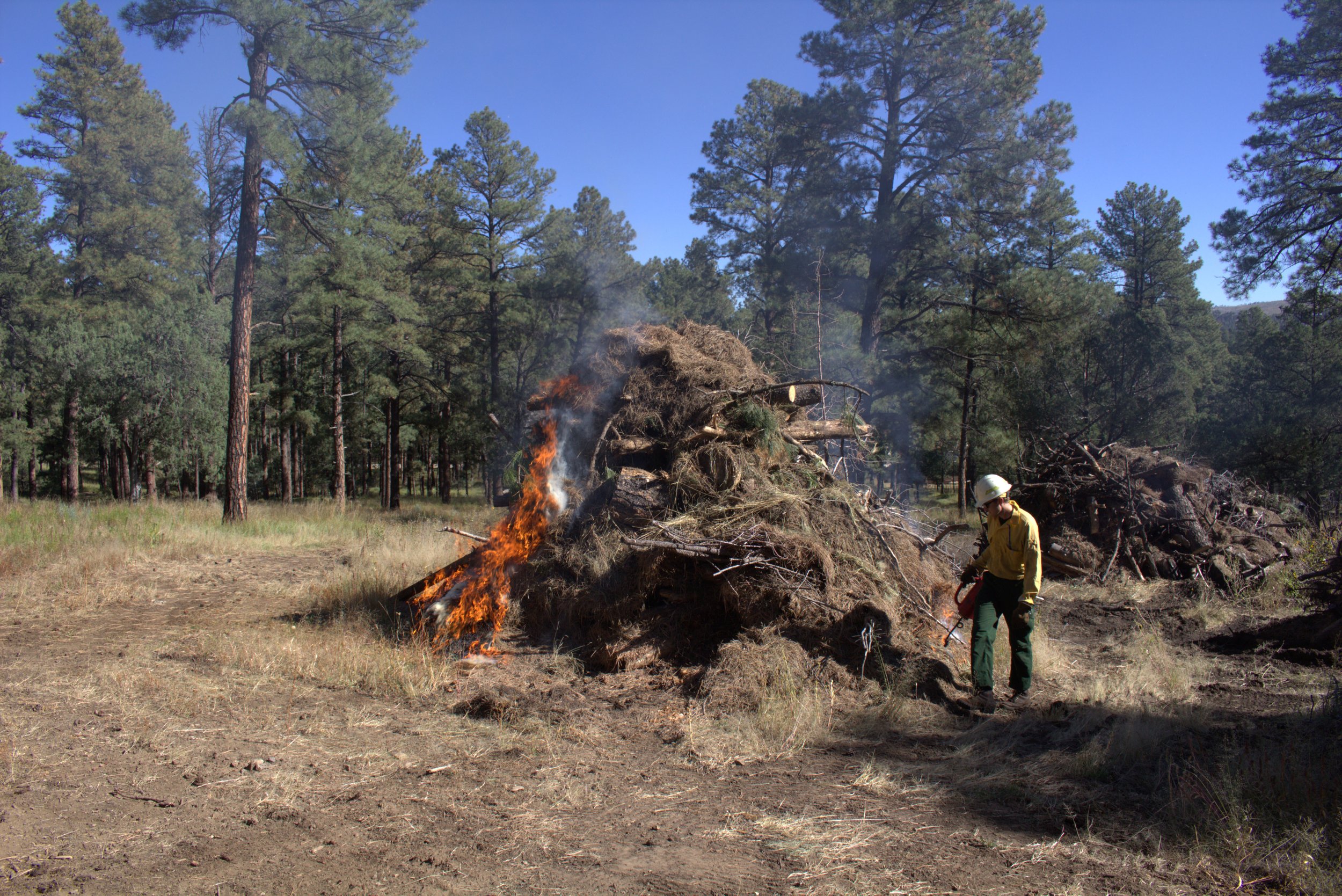 Fire crew member begins test ignitions on Smokey Bear Ranger District Prescribed Pile Burn. USDA Forest Service Photo by Jorden Scott.