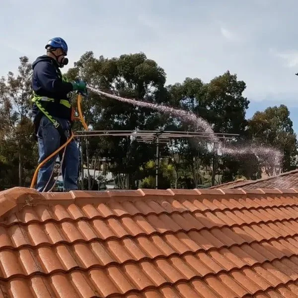 How Often Should You Clean Your Roof on the Gold Coast?