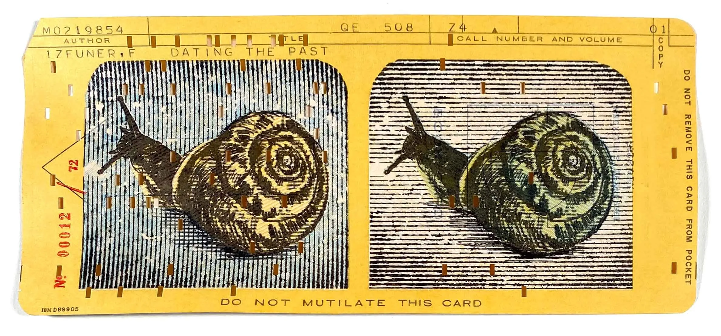 Blue Snail Eyes