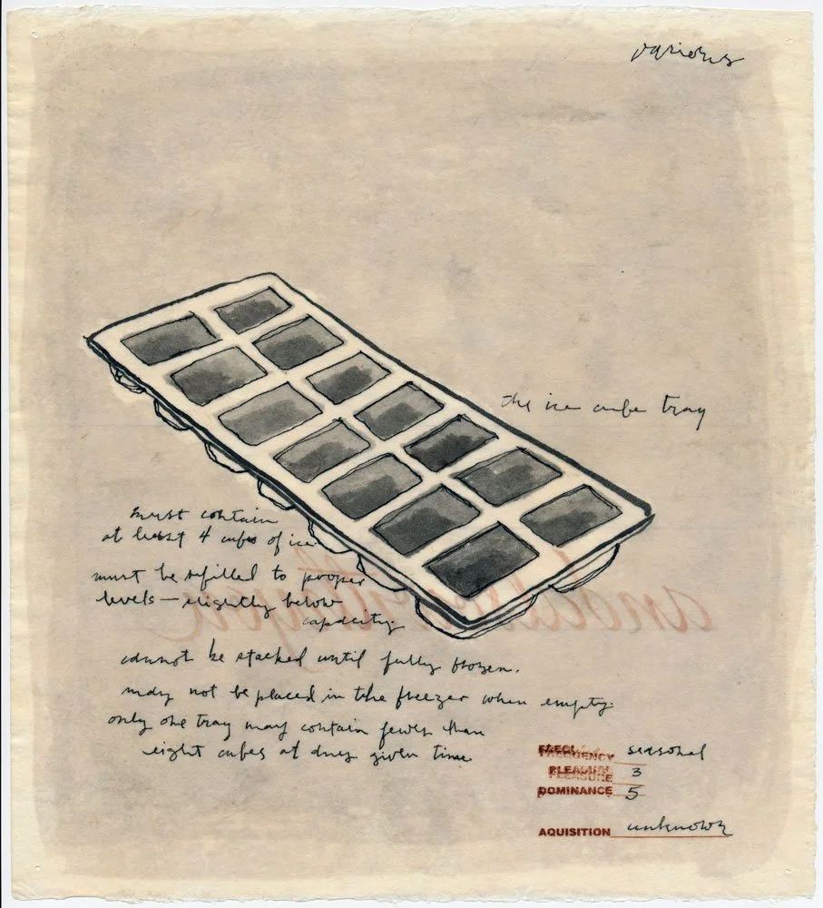 09-icecubetray.jpg