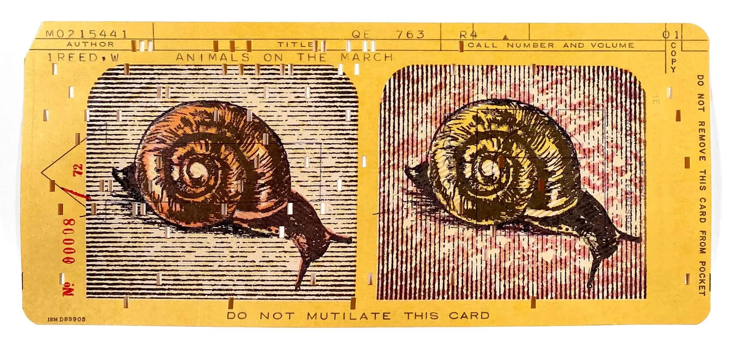red-snail-eyes.jpg