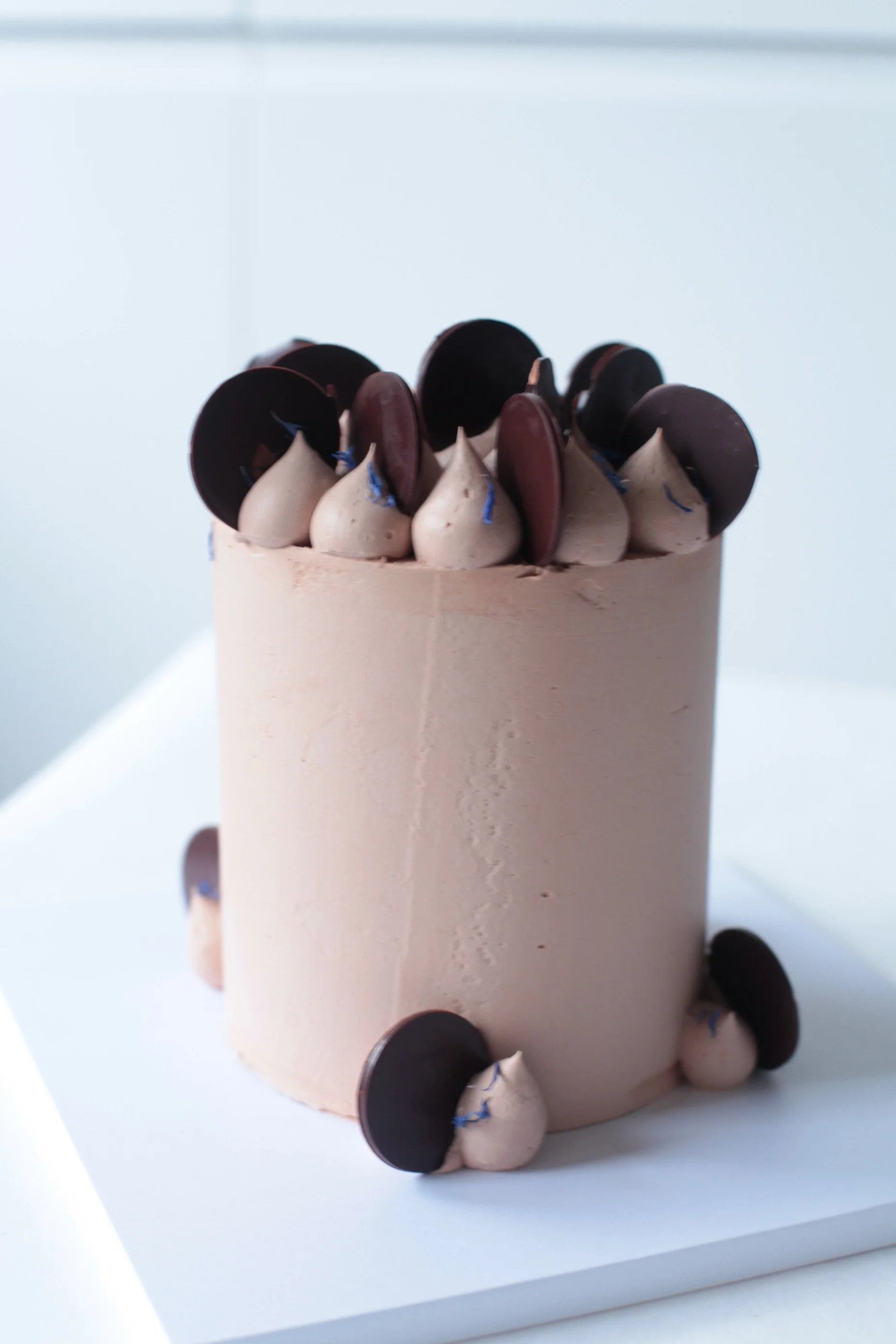 Modern patisserie style chocolate cake with Swiss meringue and chocolate disc decoration