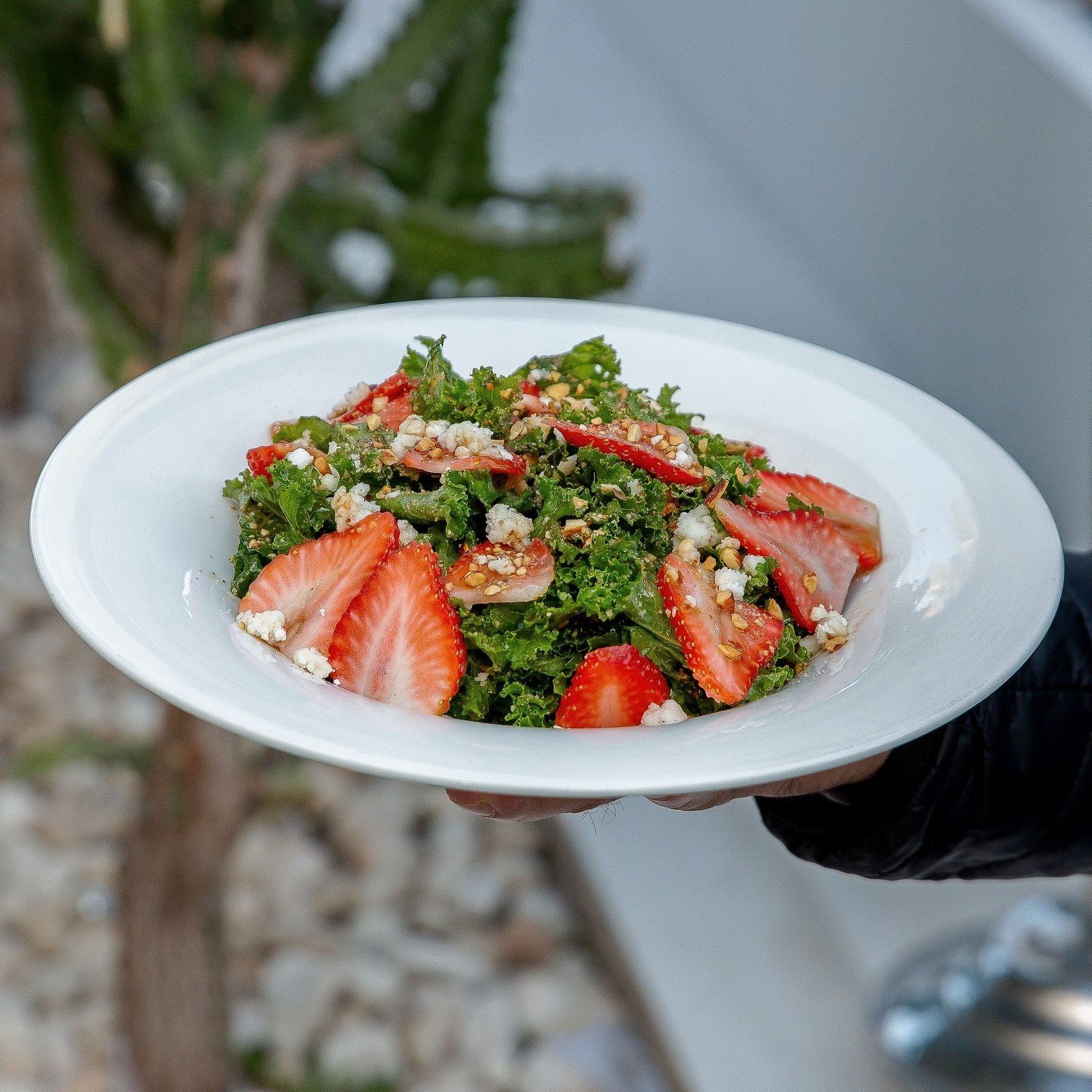 Perfect Spring flavors in this fresh and vibrant salad.

To reserve, tap the link in our bio

#Oliveto #EnhanceYourSenses #Italian #Restaurant #Bahrain #KSA #Khobar #Dammam #Kuwait #Lounge #Livemusic #Foodie
