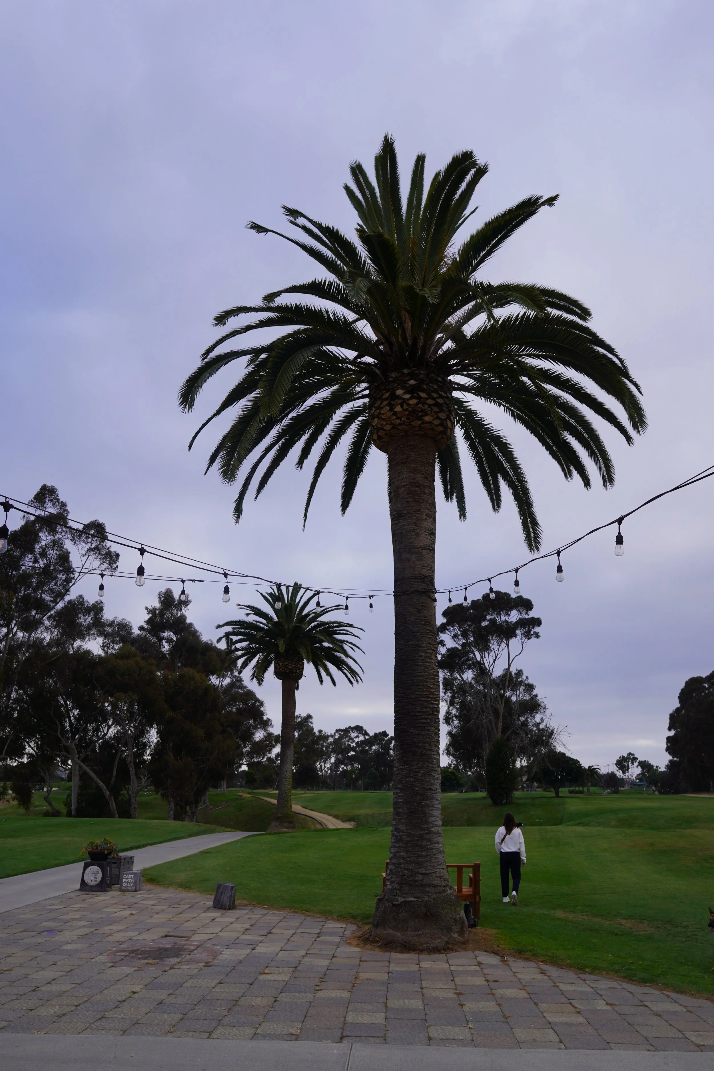 DSC04919 (2025-05-19T16_43_19.889).JPG