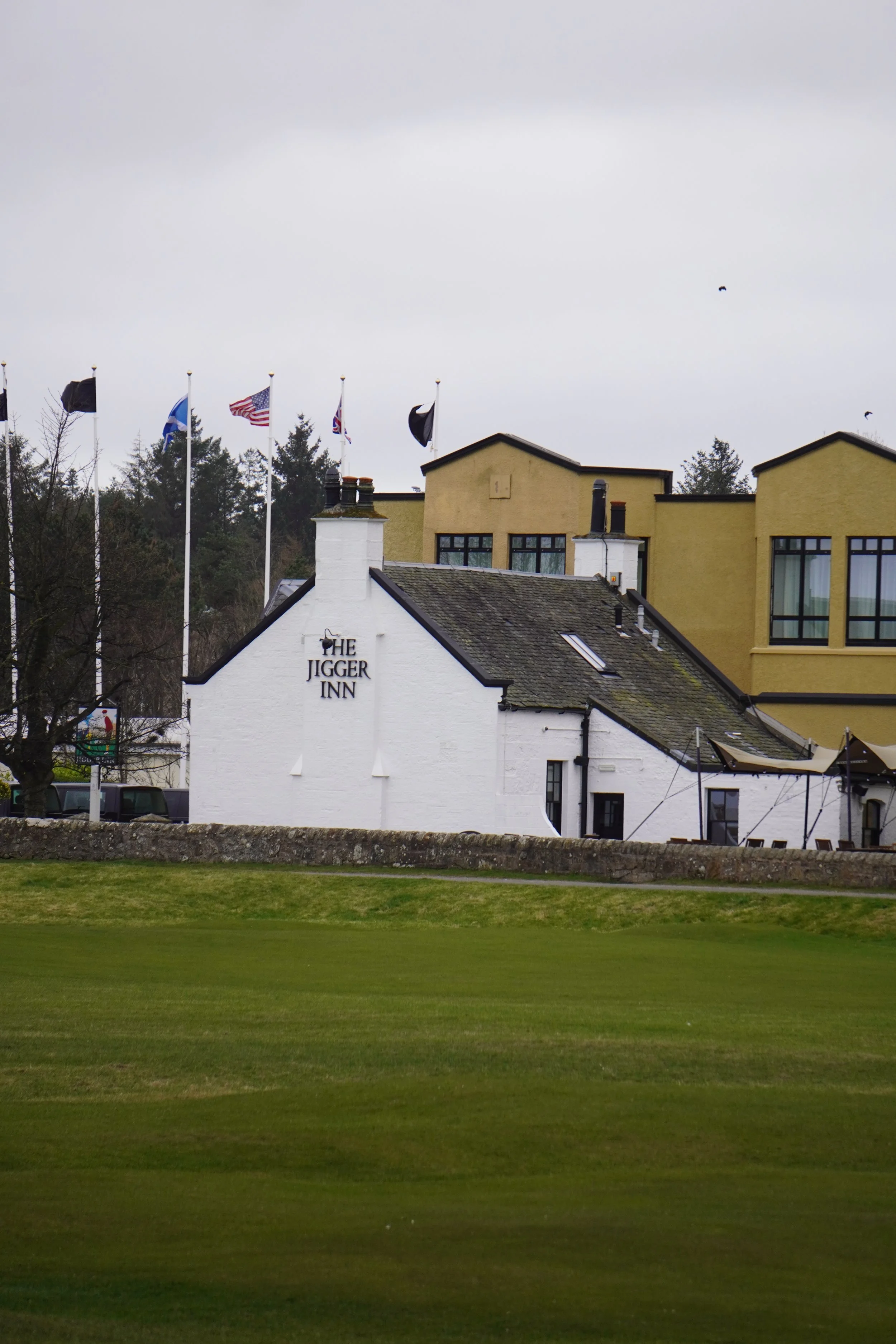 DSC01461 (2025-03-10T16_58_37.799).JPG