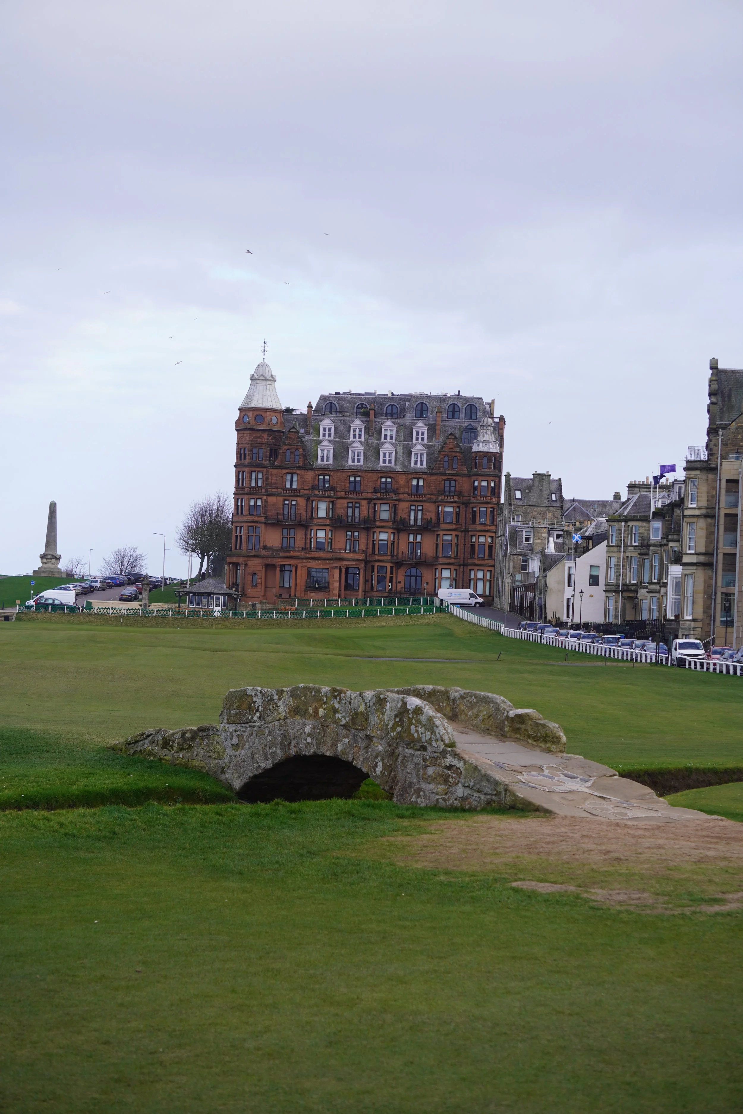 DSC02056 (2025-03-10T17_50_14.867).JPG