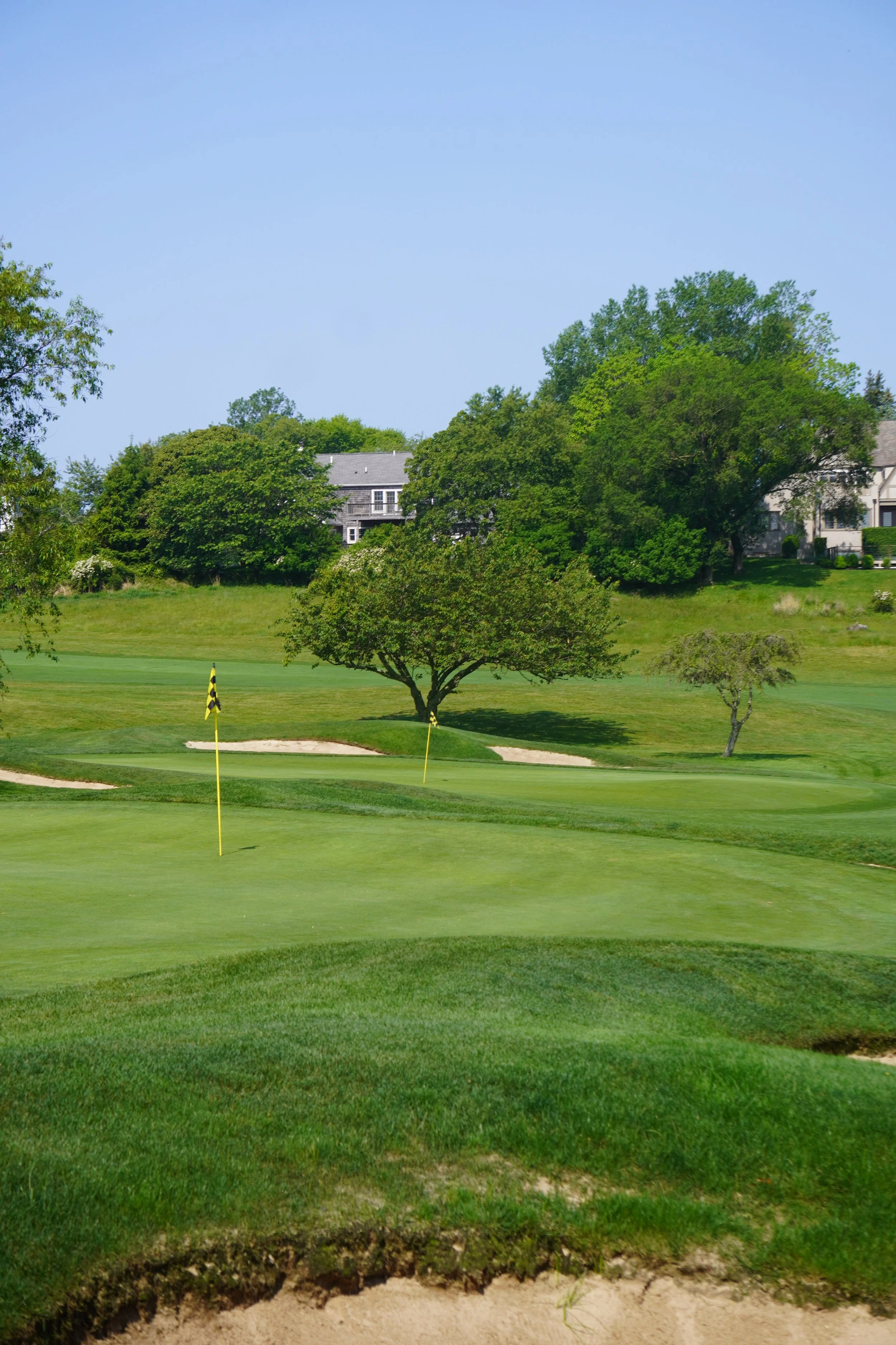 DSC08420 (2025-06-12T13_01_50.746).JPG