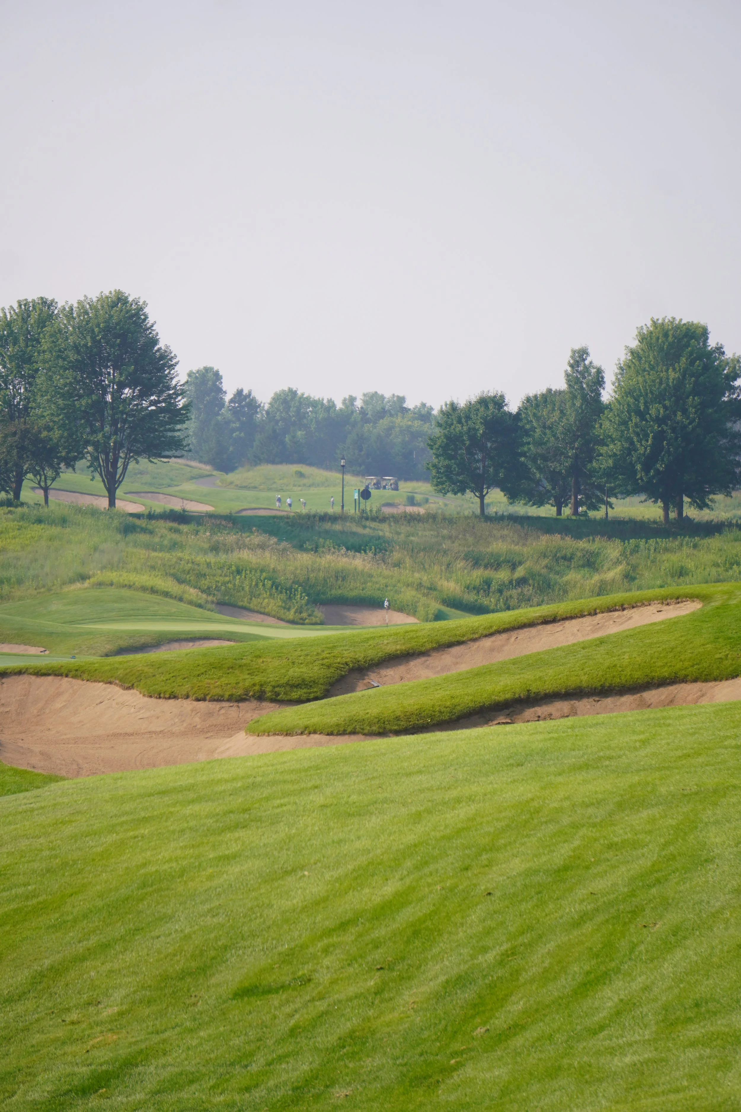 DSC00178 (2025-08-02T22_49_47.641).JPG