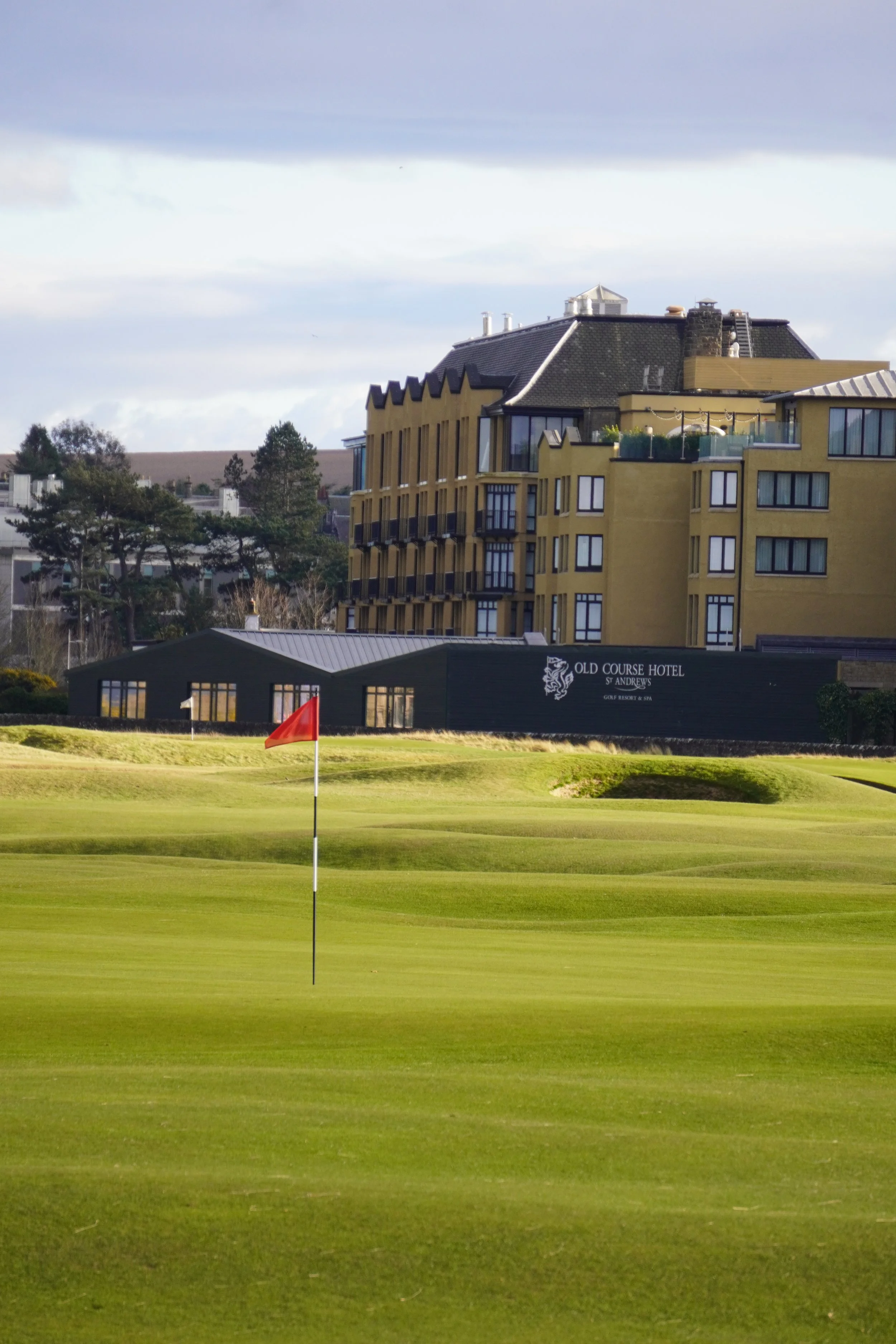 DSC02415 (2025-03-11T23_16_41.303).JPG