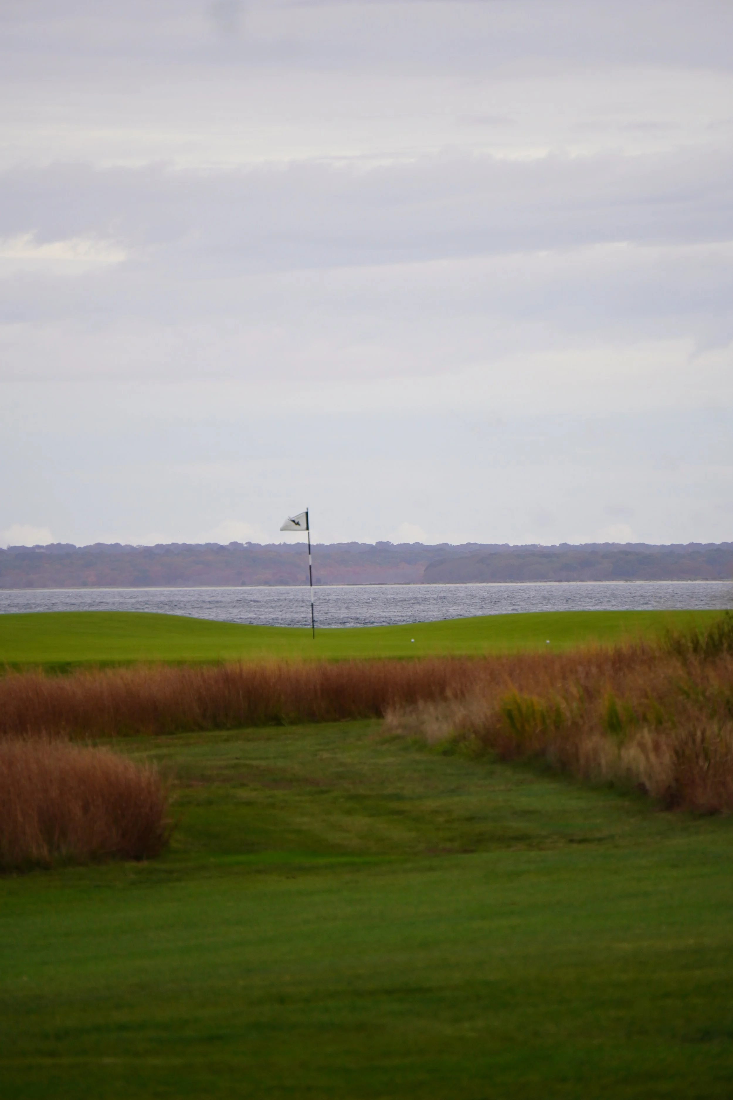 DSC05398 (2023-10-21T12_28_42.618).JPG