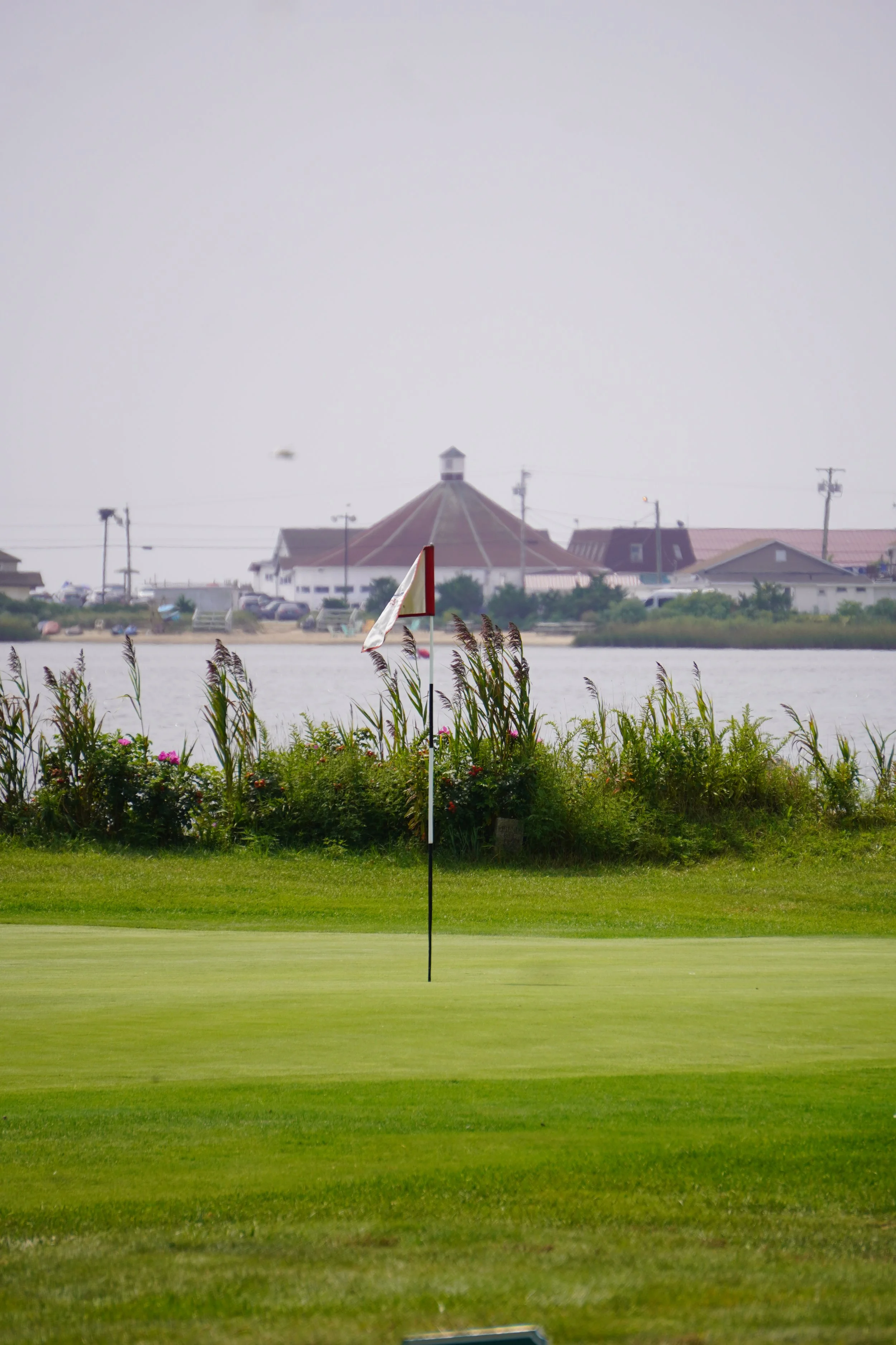 DSC07141 (2024-08-25T22_24_57.550).JPG