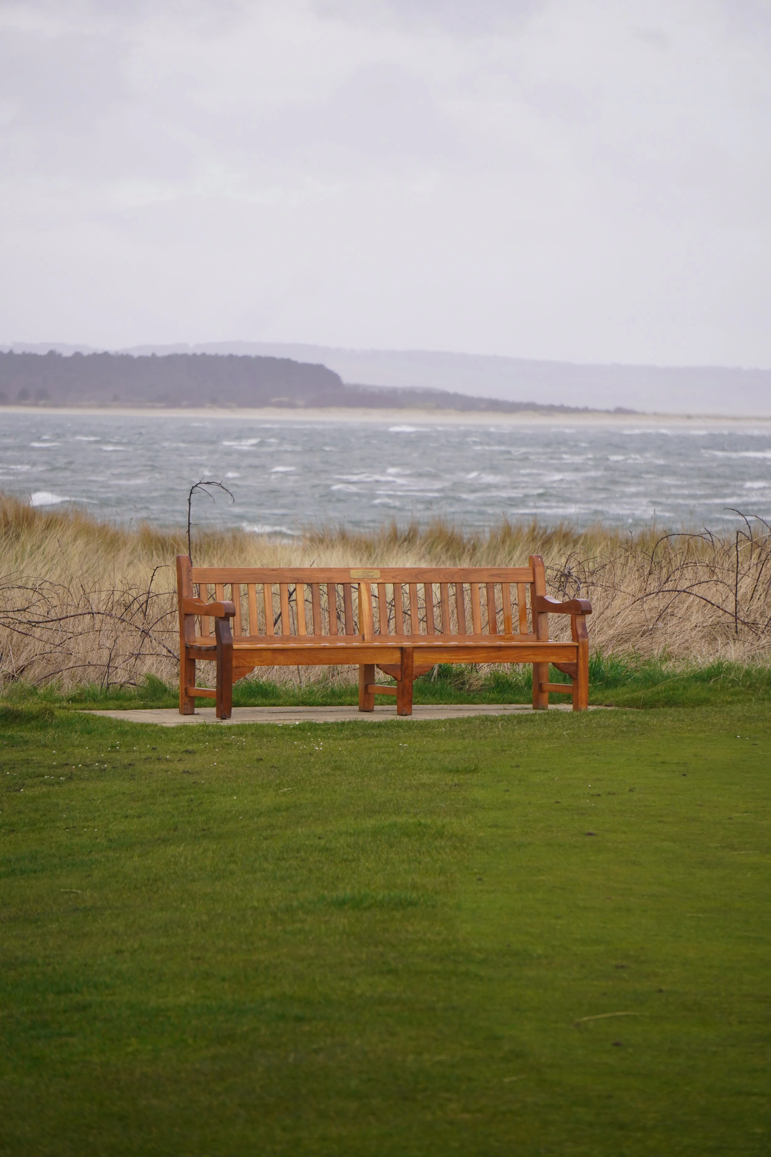 DSC01663 (2025-03-10T17_14_55.065).JPG