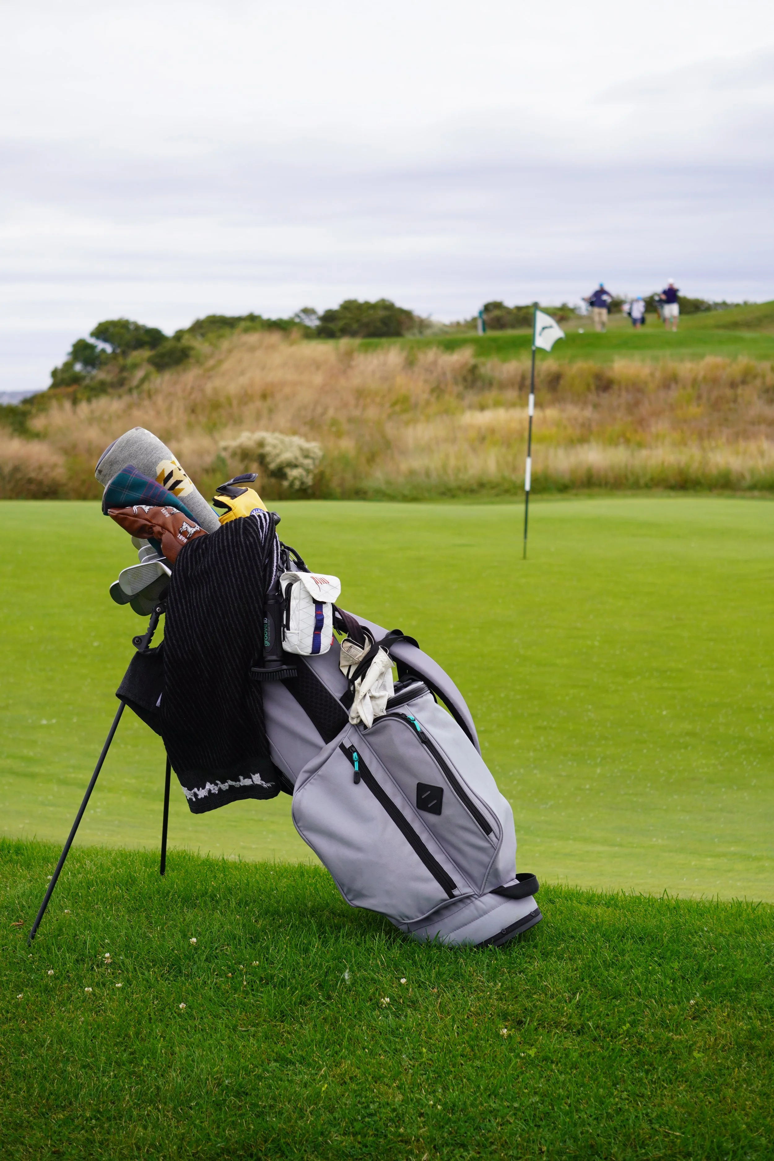 DSC05519 (2023-10-21T12_36_58.994) (1).JPG