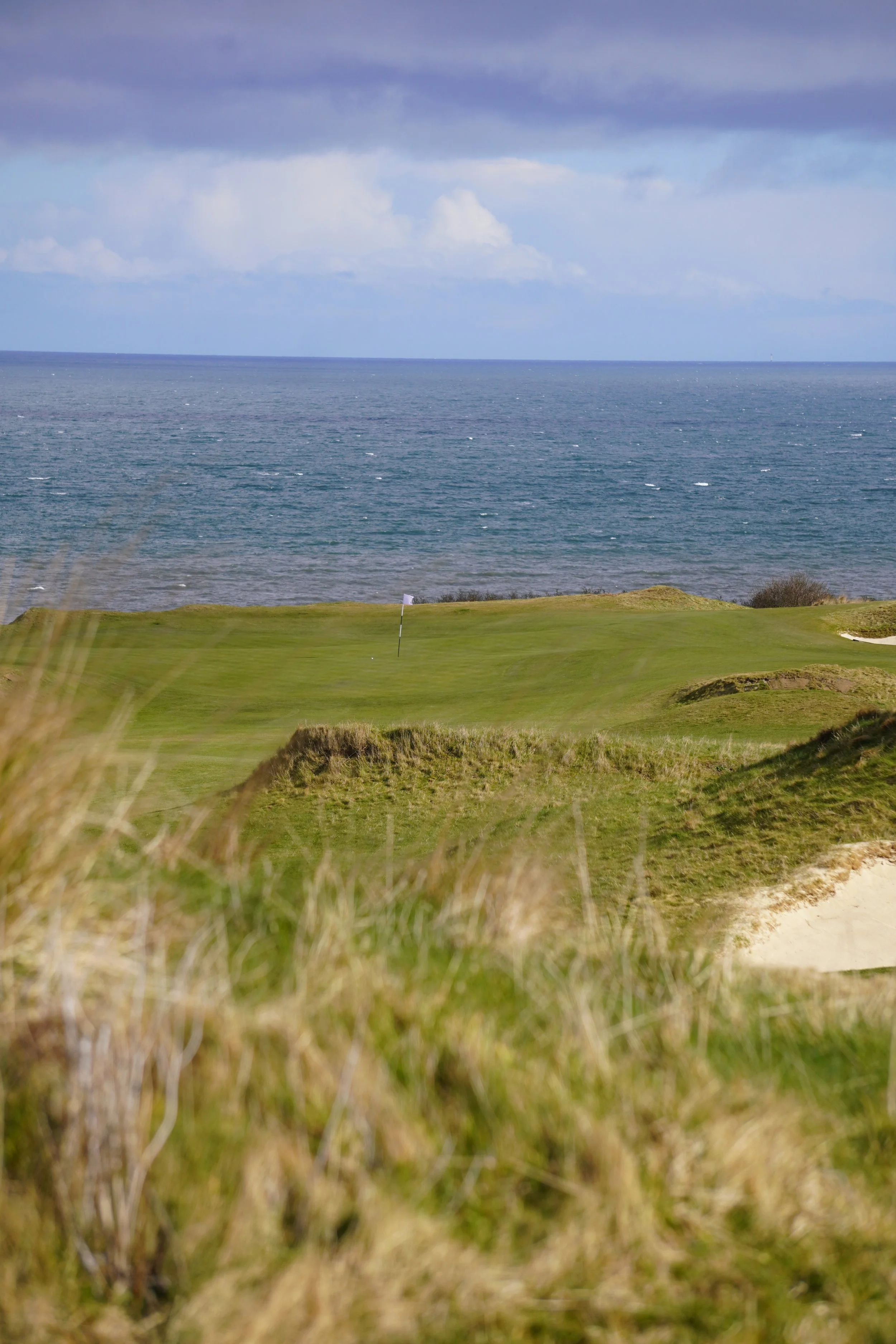 DSC02928 (2025-03-13T07_21_13.558).JPG