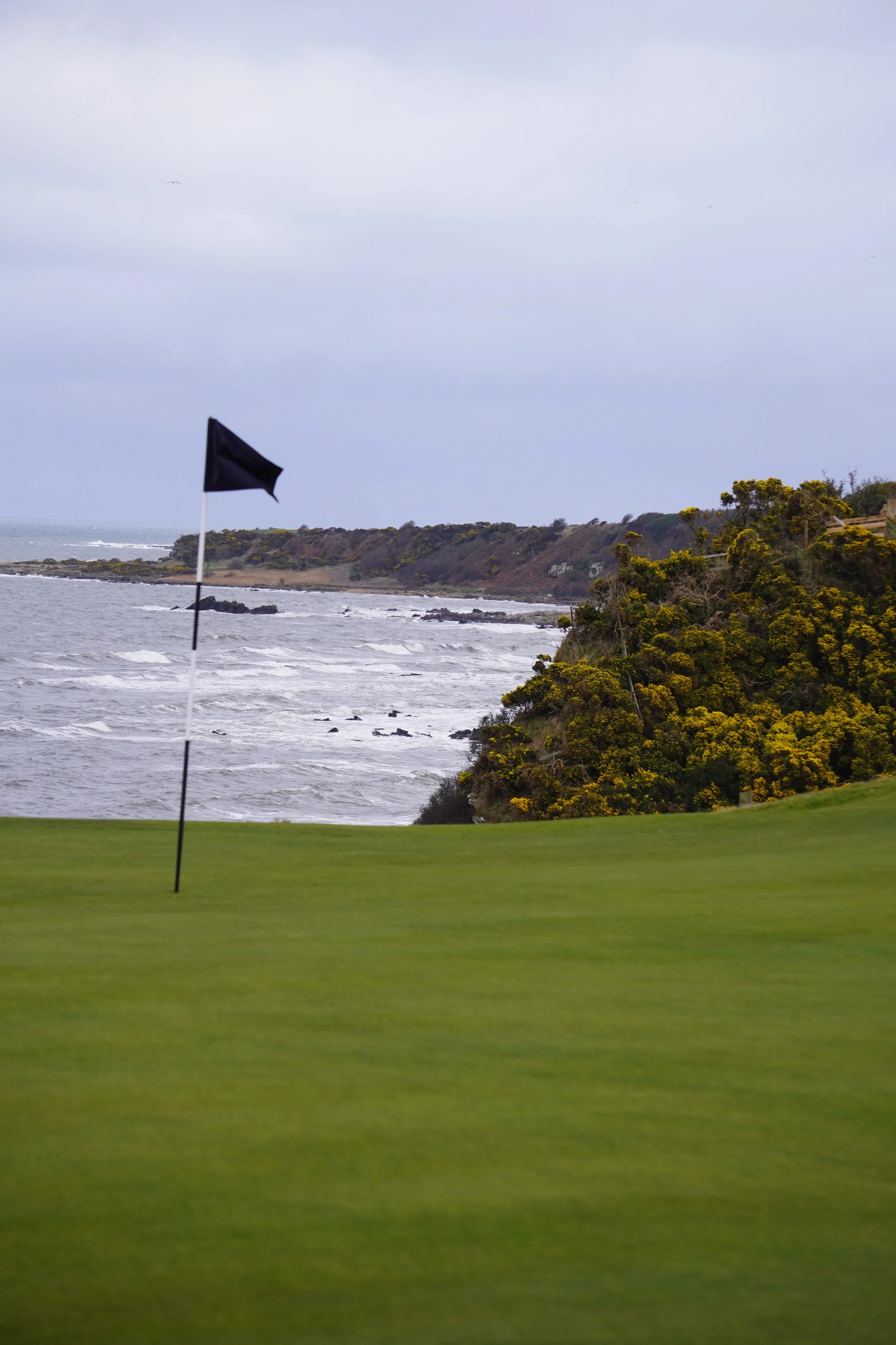 DSC03015 (2025-03-13T07_30_36.611).JPG