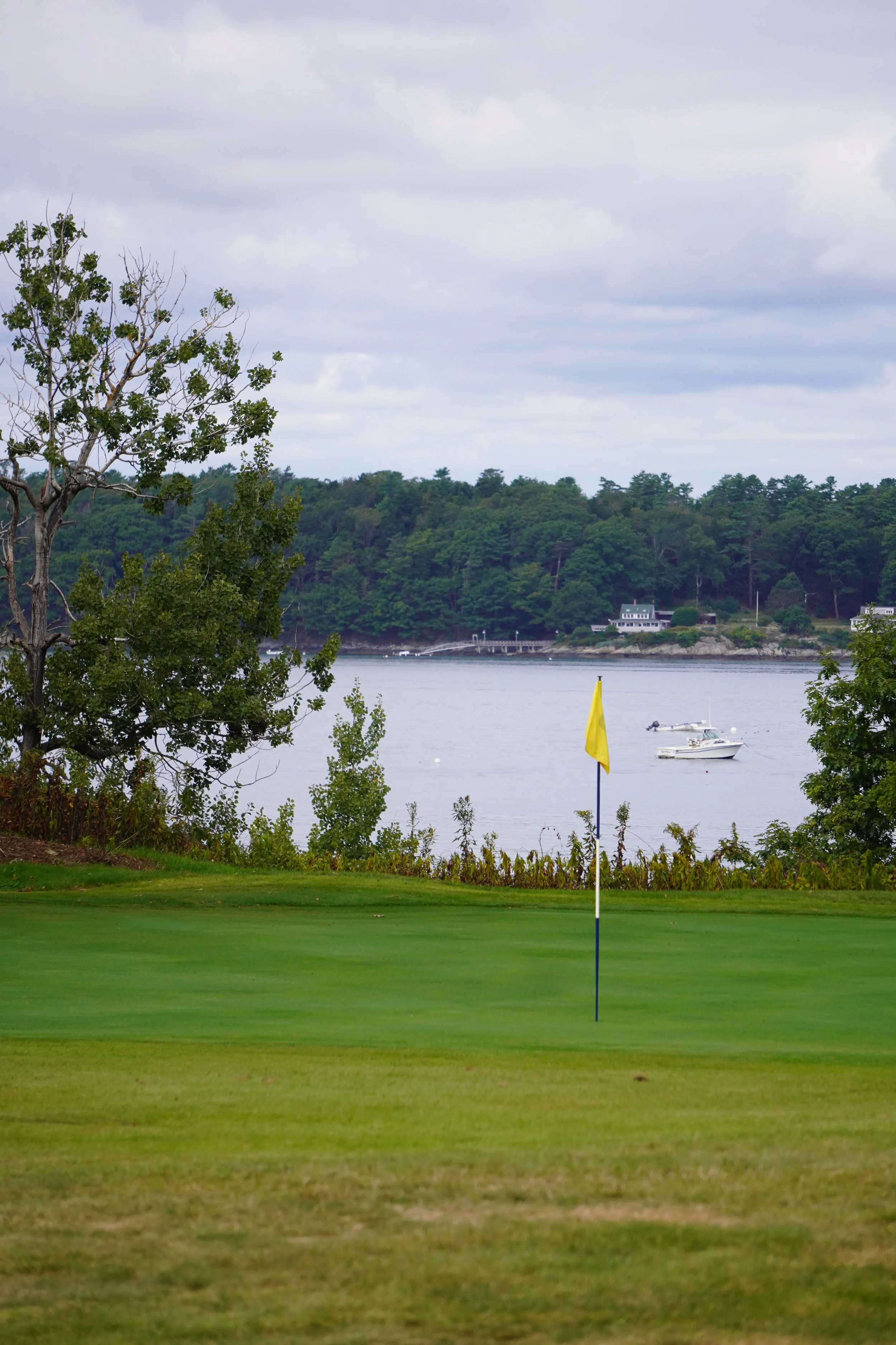 DSC08267 (2024-09-08T00_16_03.021).JPG