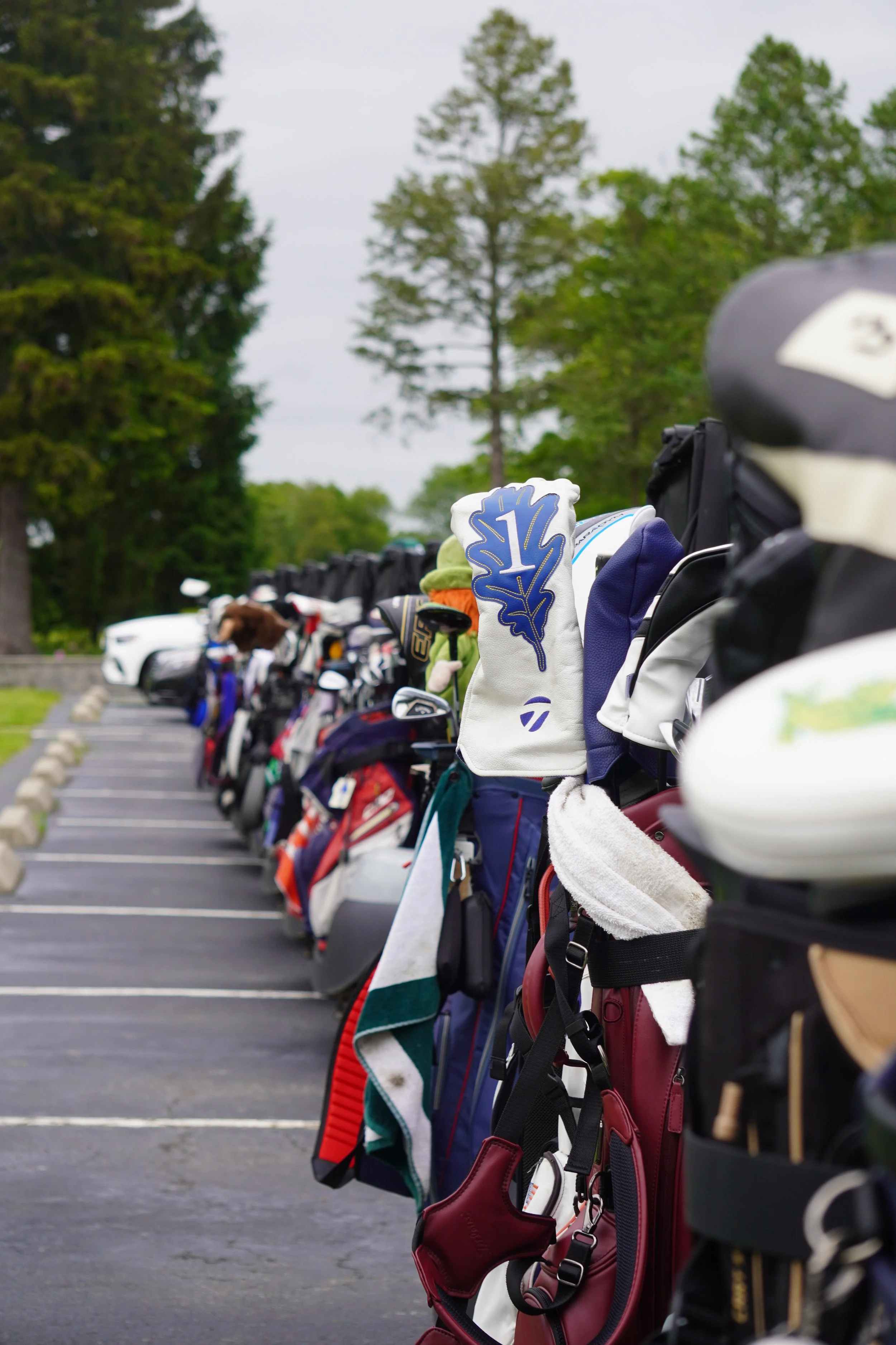 FDCB04B6-5E4A-4355-BAFB-9A587D843F2FDSC06003 (2025-06-01T15_18_38.913).jpeg