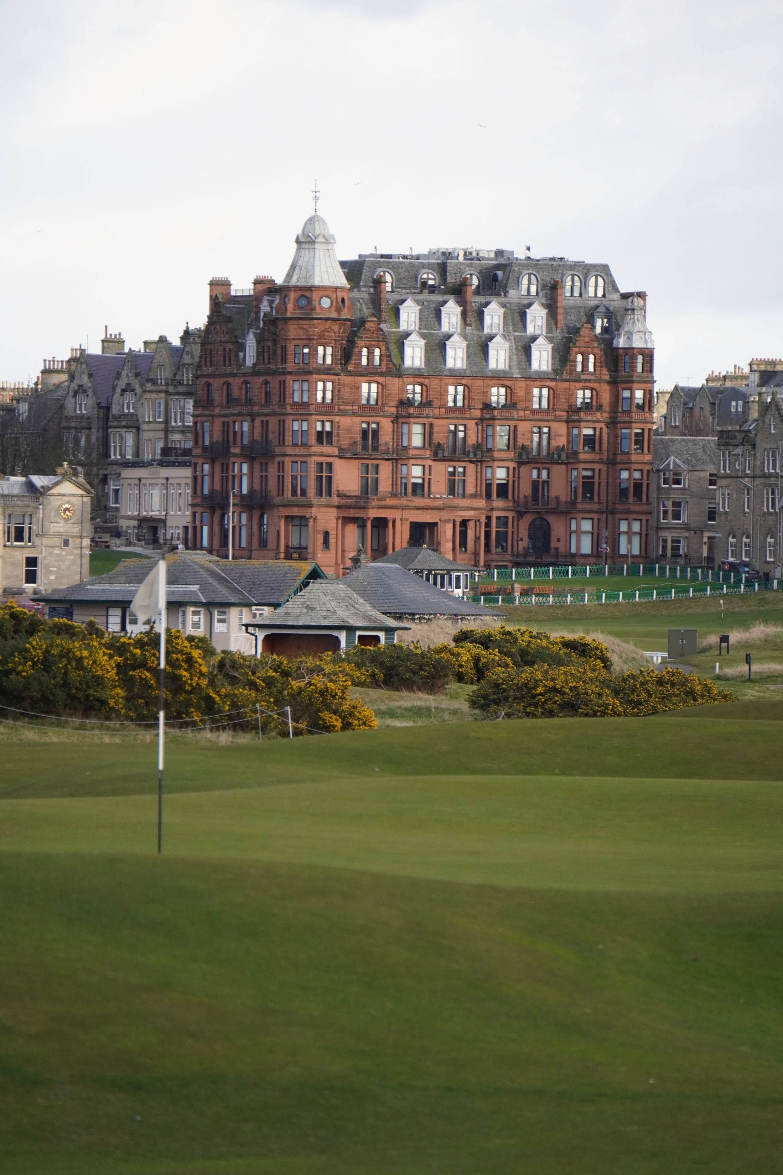 DSC02536 (2025-03-11T23_30_18.243).JPG