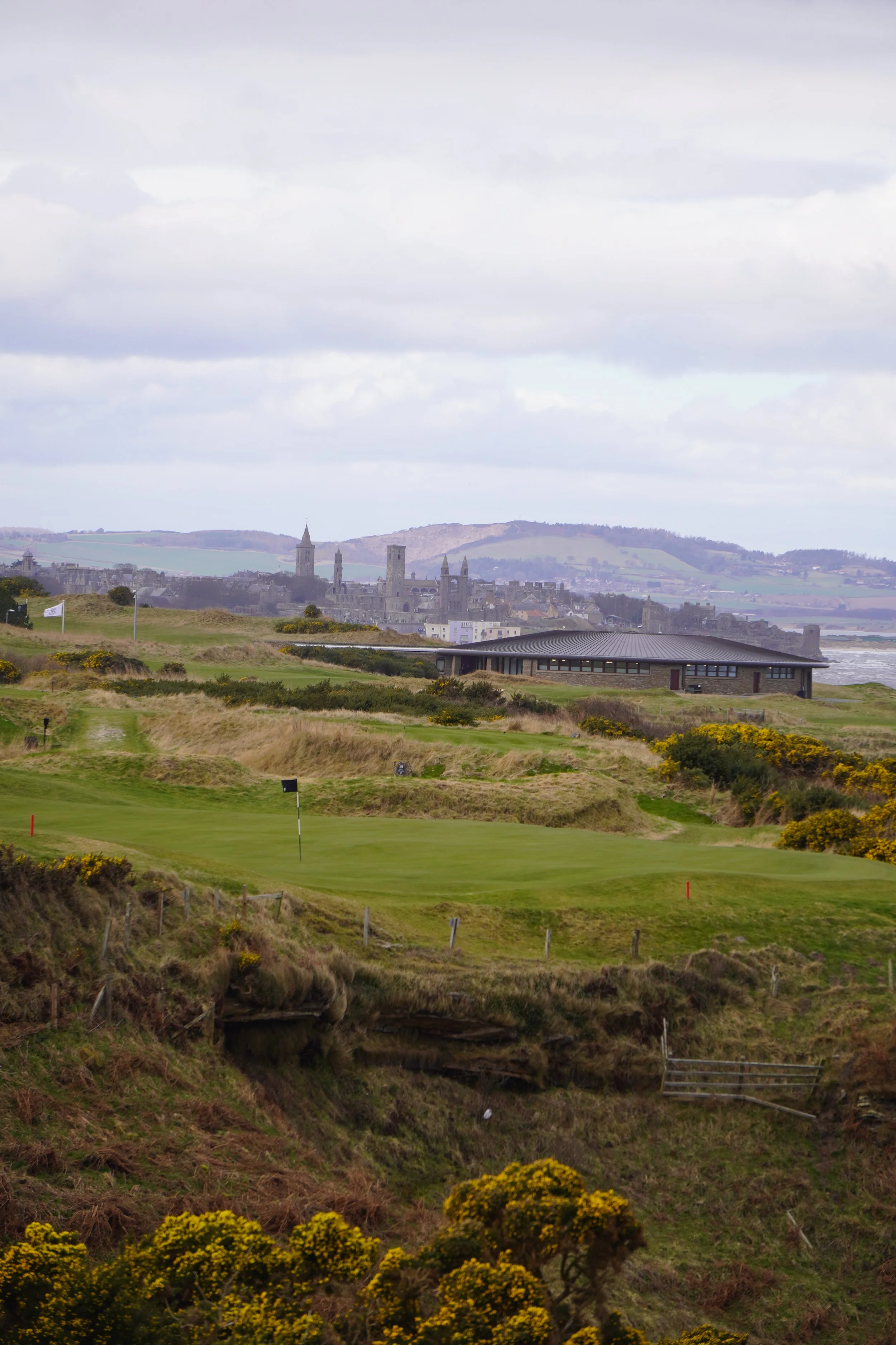 DSC02974 (2025-03-13T07_25_53.649).JPG