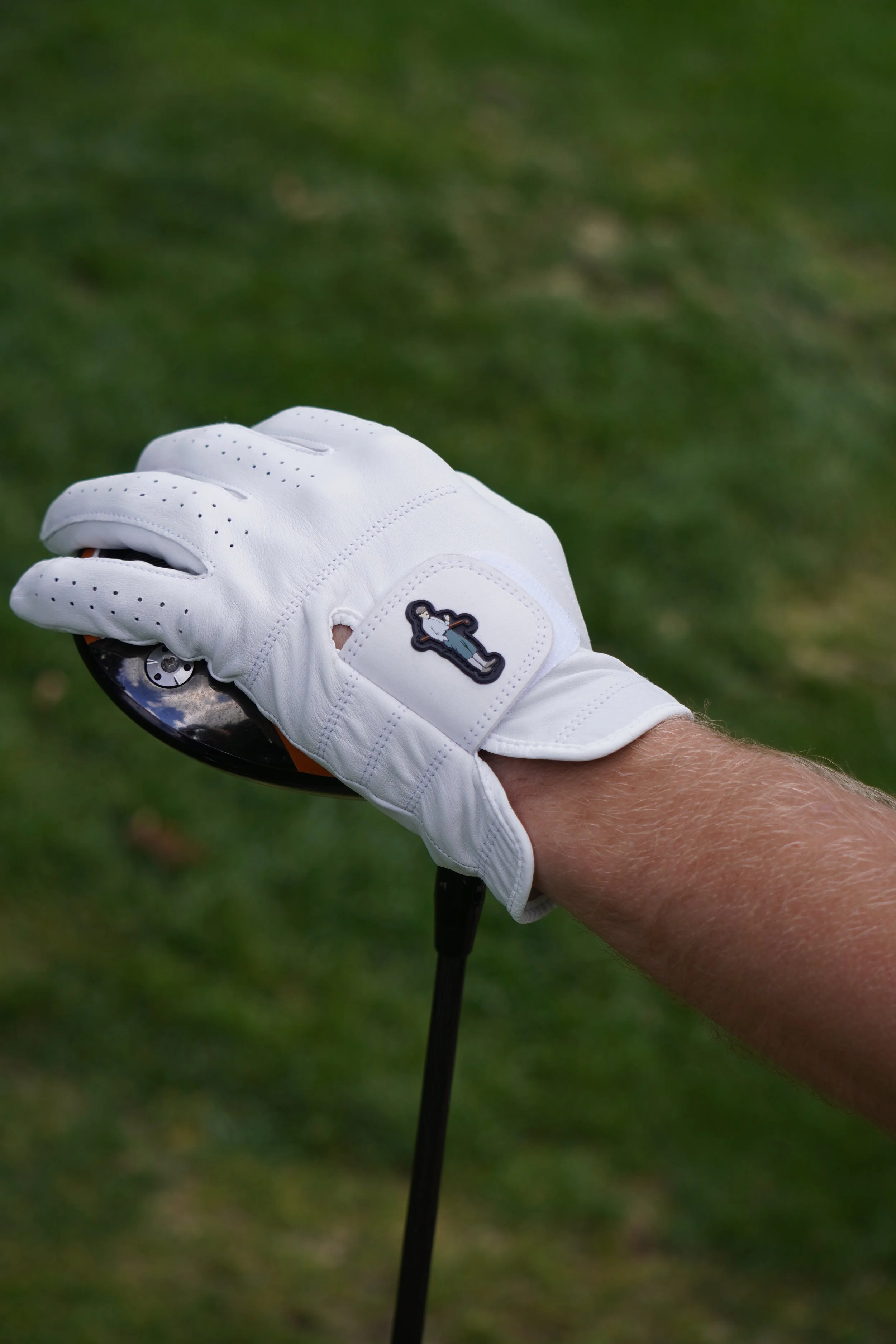 DSC02455 (2024-08-09T12_48_15.516).JPG