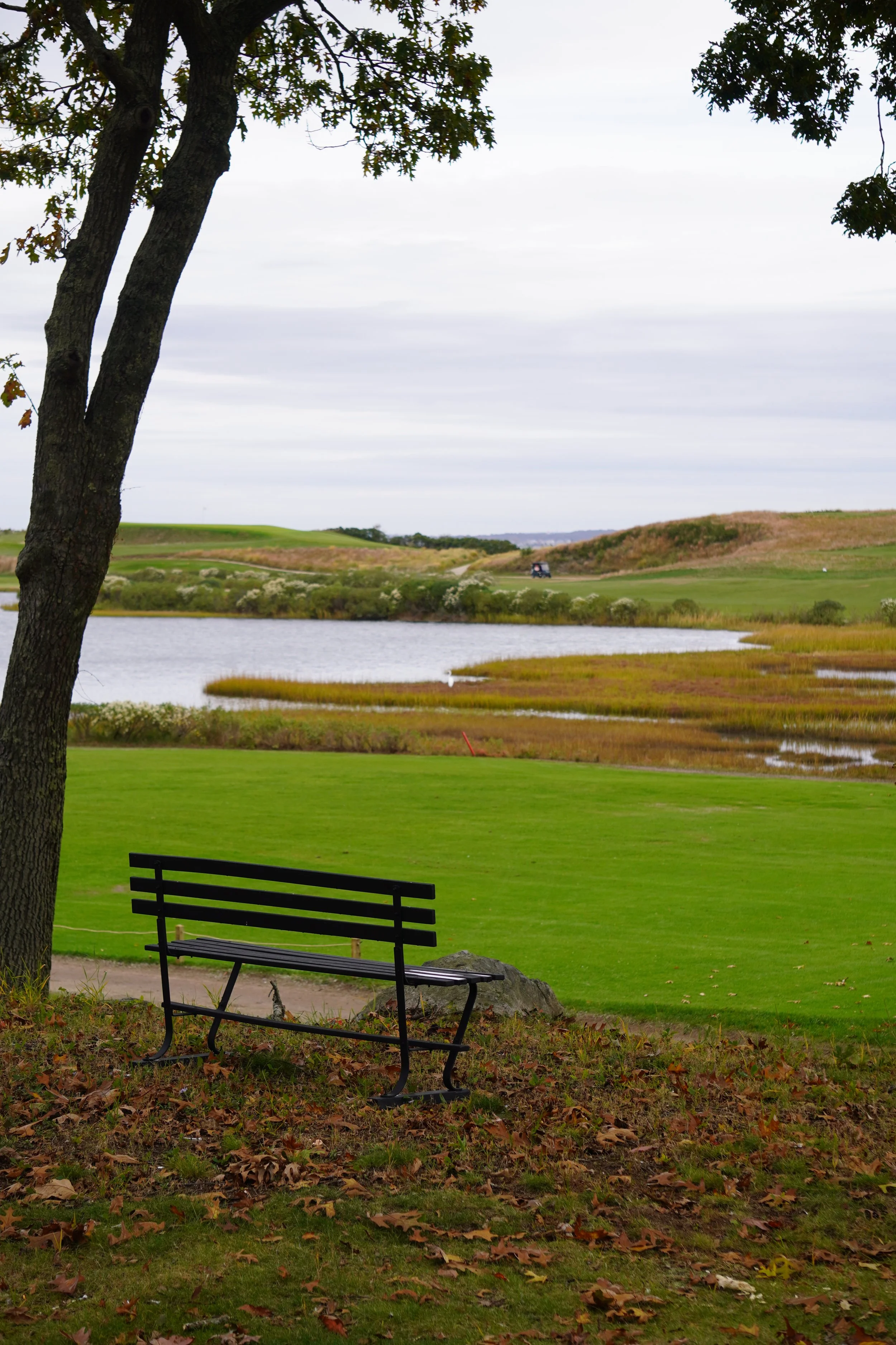 DSC05542 (2023-10-21T12_39_16.518).JPG