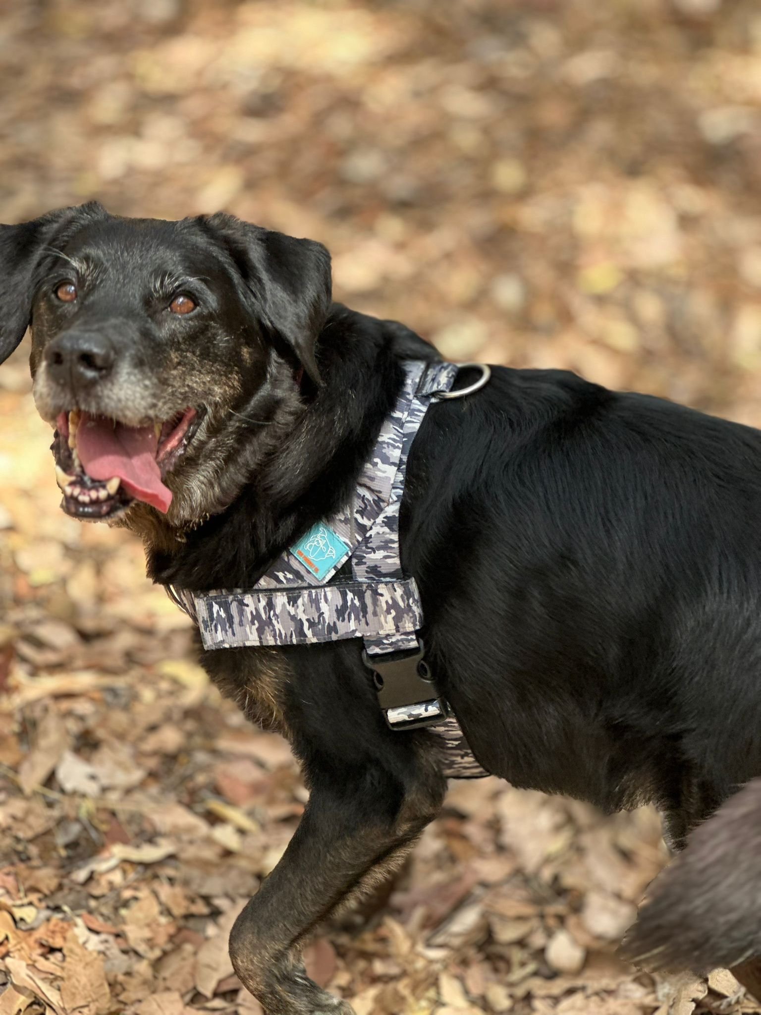 THE ZEUS DIARIES — PART ONE - He was only supposed to stay for three months.