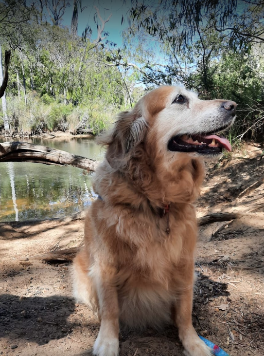 Screenshot 2024-07-01 at 11.51.21 AM.png