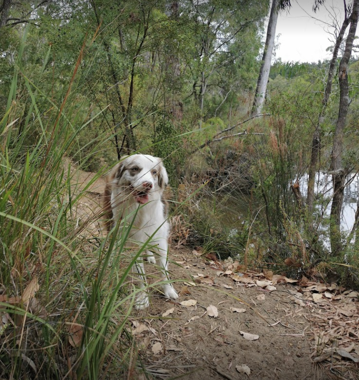 Screenshot 2024-07-01 at 11.43.12 AM.png