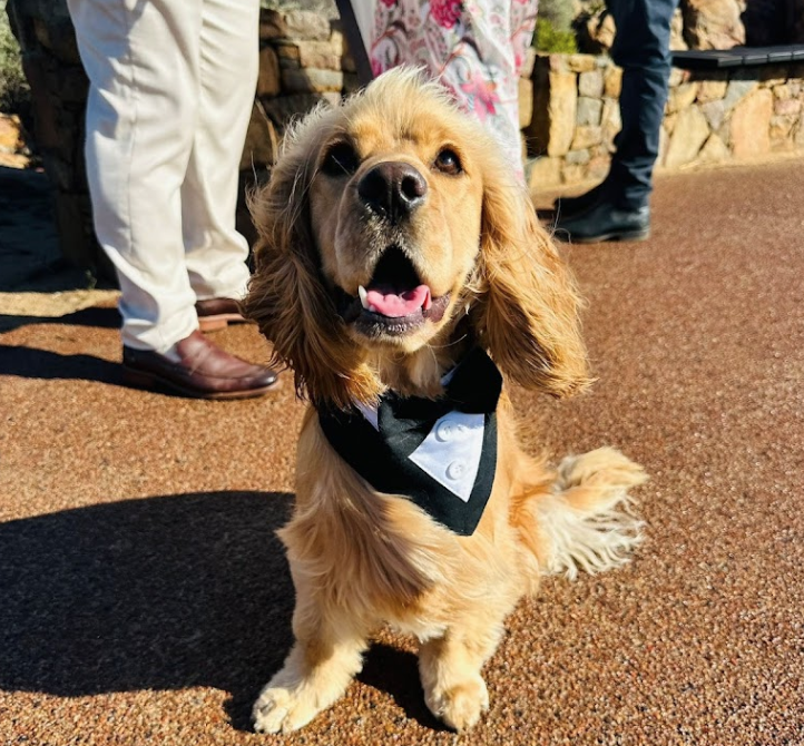 Screenshot 2024-07-01 at 11.39.54 AM.png