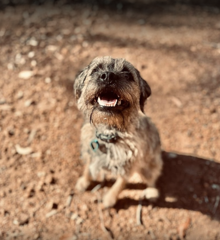 Screenshot 2024-07-01 at 11.40.52 AM.png