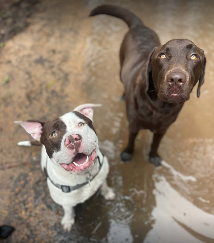 Screenshot 2024-07-01 at 11.50.29 AM.png