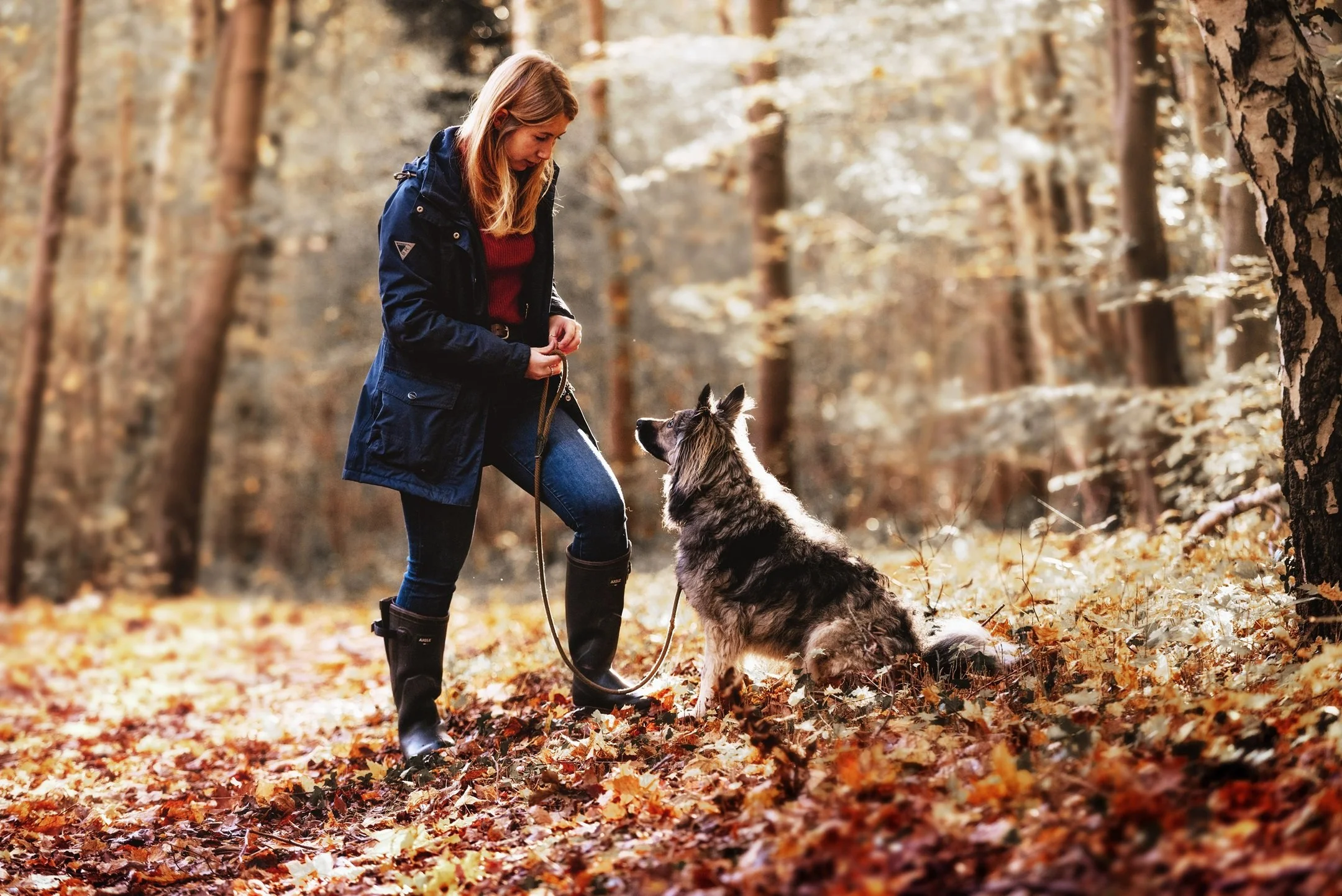 Can I Get a Free Consultation for Rescue Dog Training Services Locally?