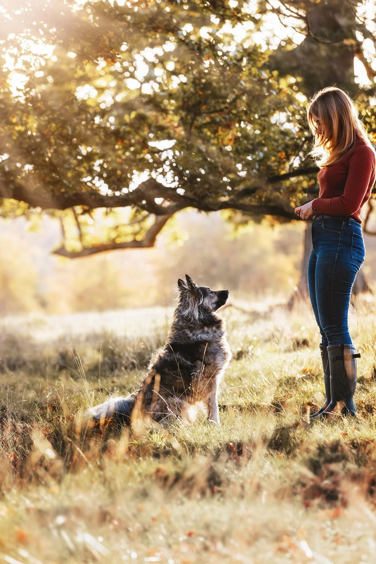 Affordable dog training classes specialising in rescue dogs near me