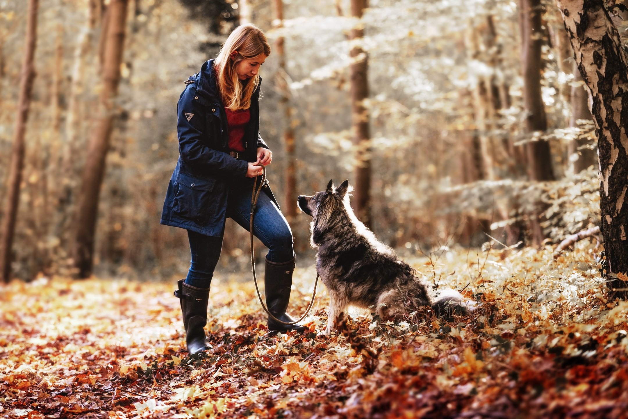 What Is the Difference Between a Dog Trainer and a Dog Behaviourist?