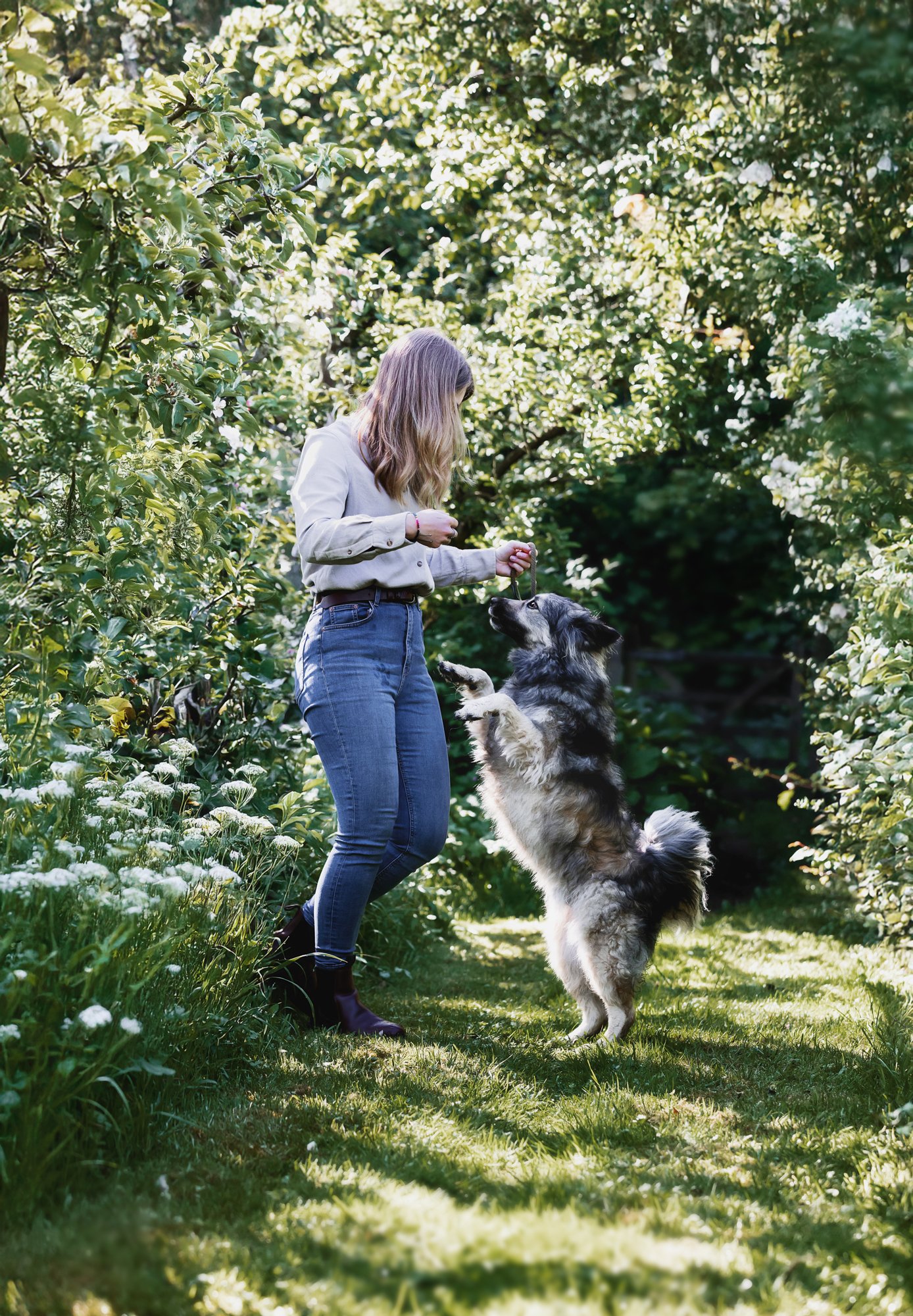 Professional dog trainers offering virtual training sessions in the UK