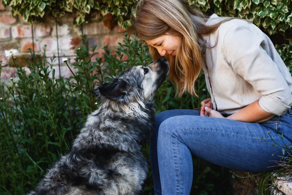 Dog giving a kiss