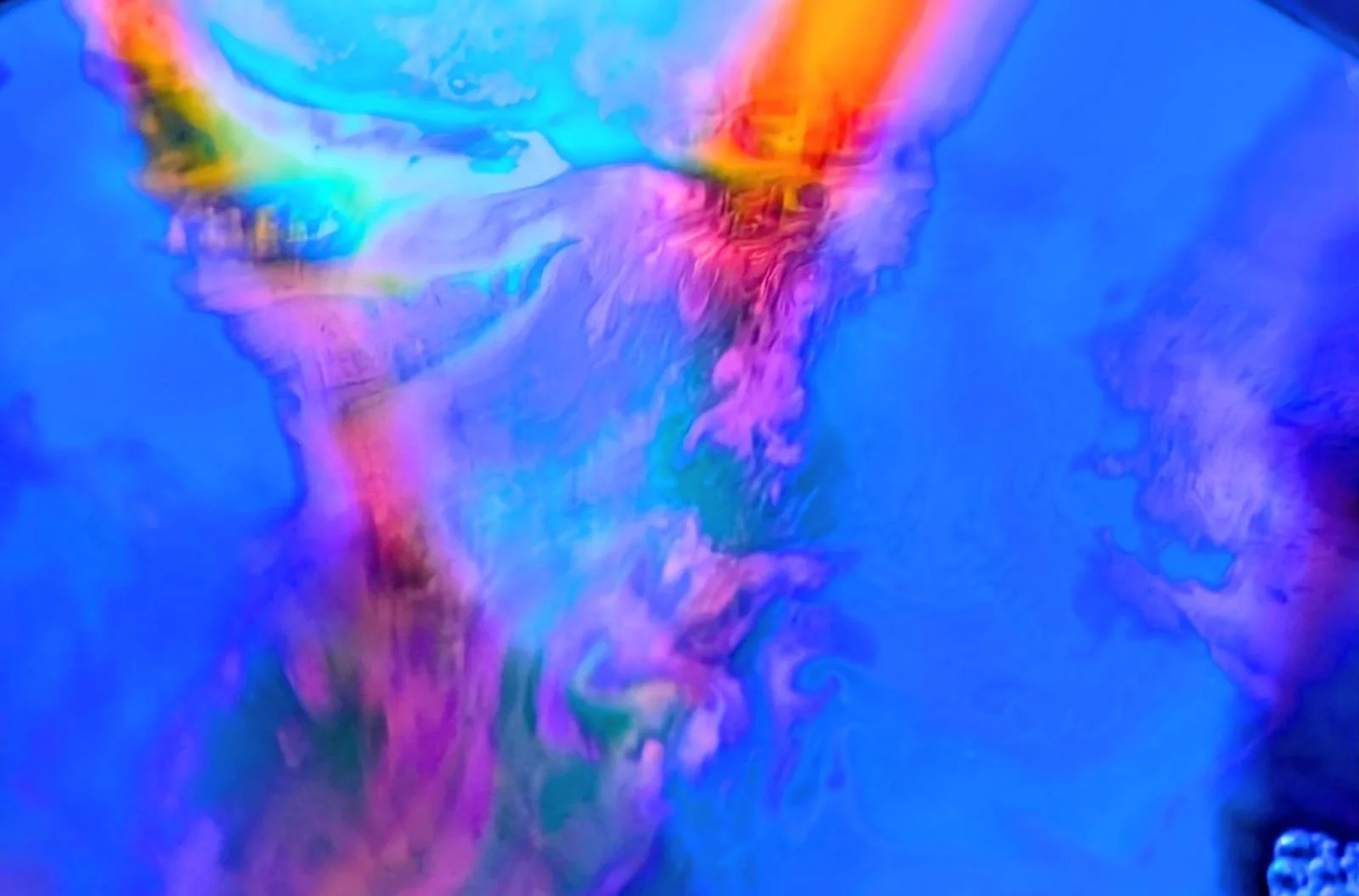 WhatsApp Image 2025-11-10 at 11.07.38.jpeg