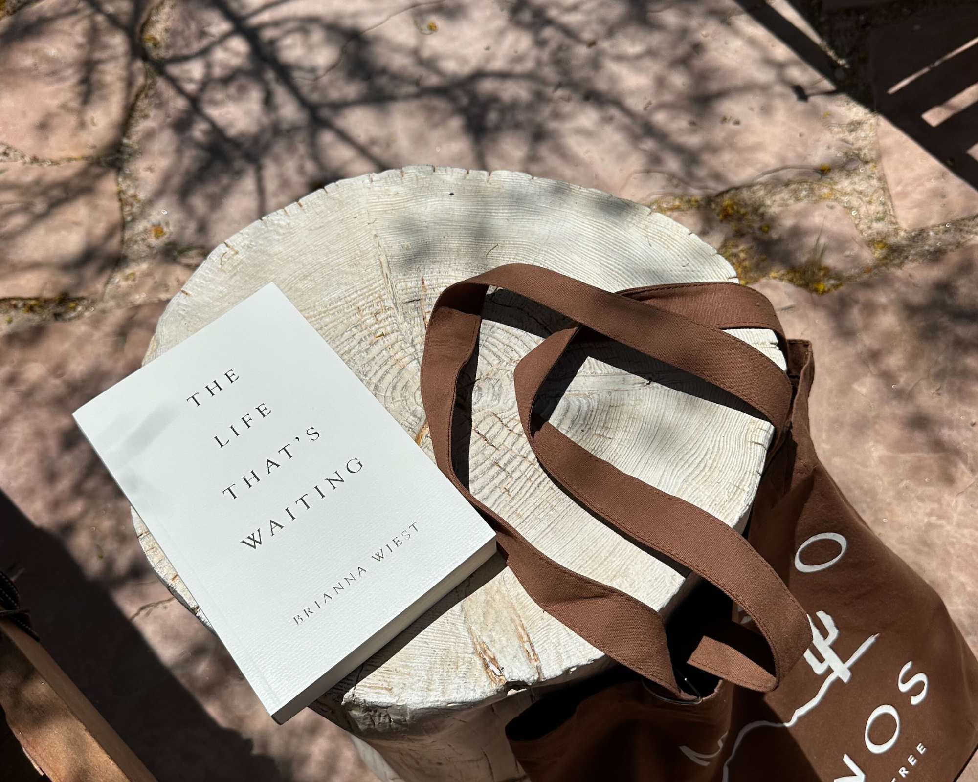 Summer Reading List 2025