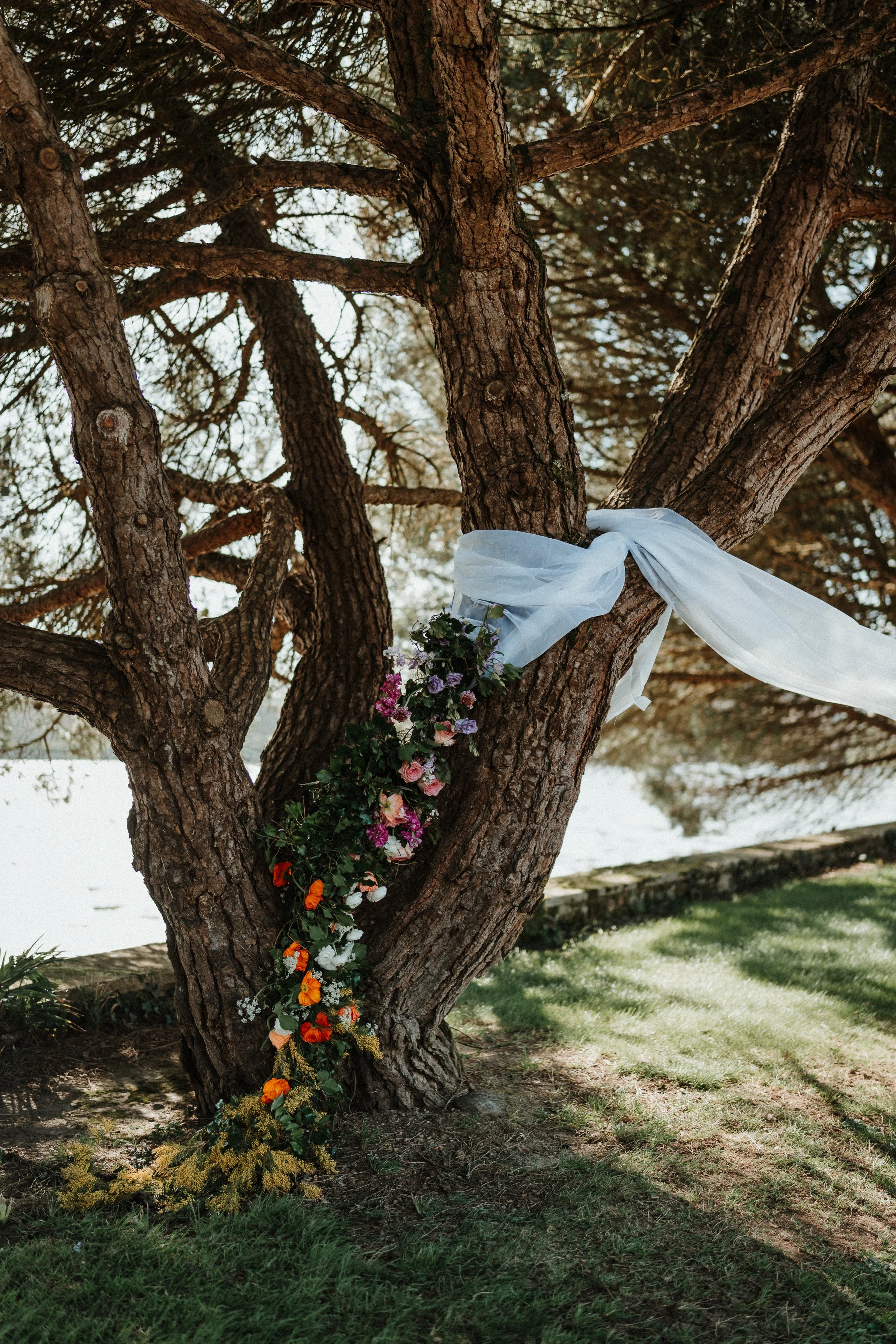 Un arbre decoré avec des fleurs colorées et un drap blanc, possiblement pour une cérémonie ou un mariage.