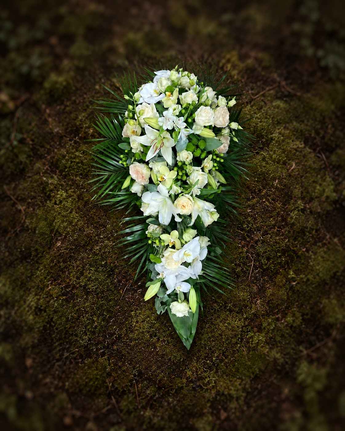 54309FB9-F230-4274-BA02-56A30E04CB14 2.PNG