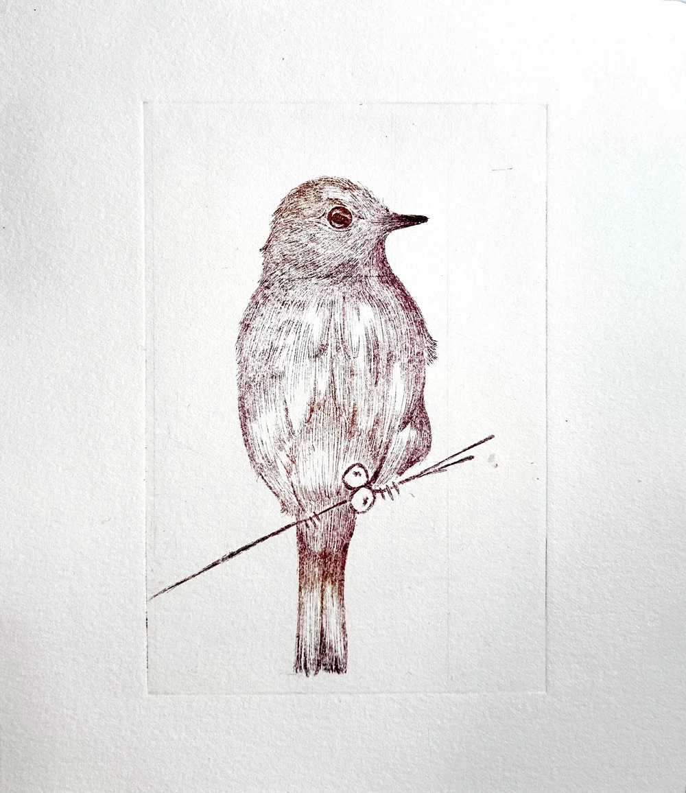 Blue Bird 1/20