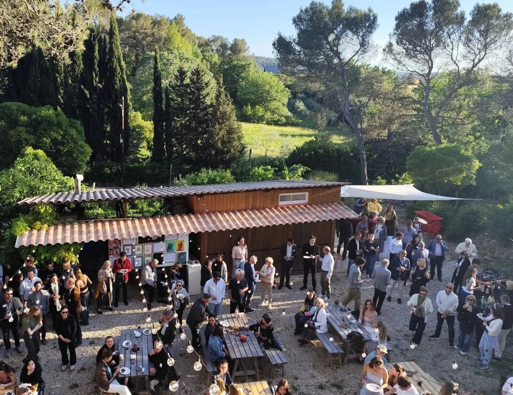 Celebrating Creativity at ACM-IAU’s Spring 2026 Art Show &amp; Vineyard Festival&nbsp;&nbsp;