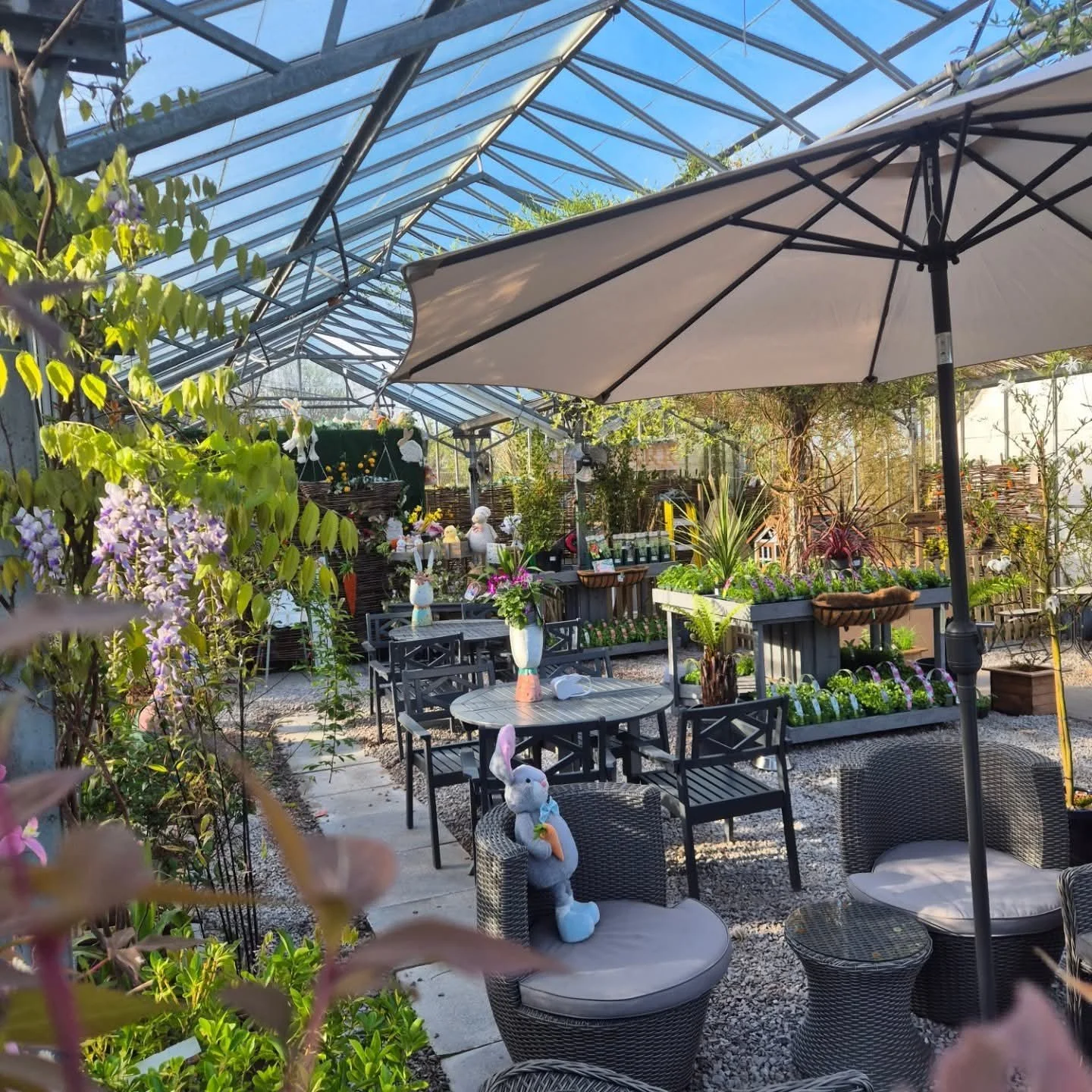 The Garden Café at Glenbarr Stores