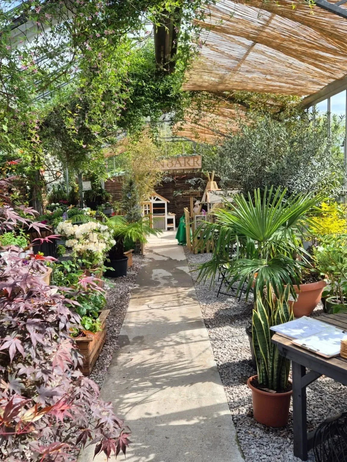 Plants and seating in the Glenbarr greenhouse