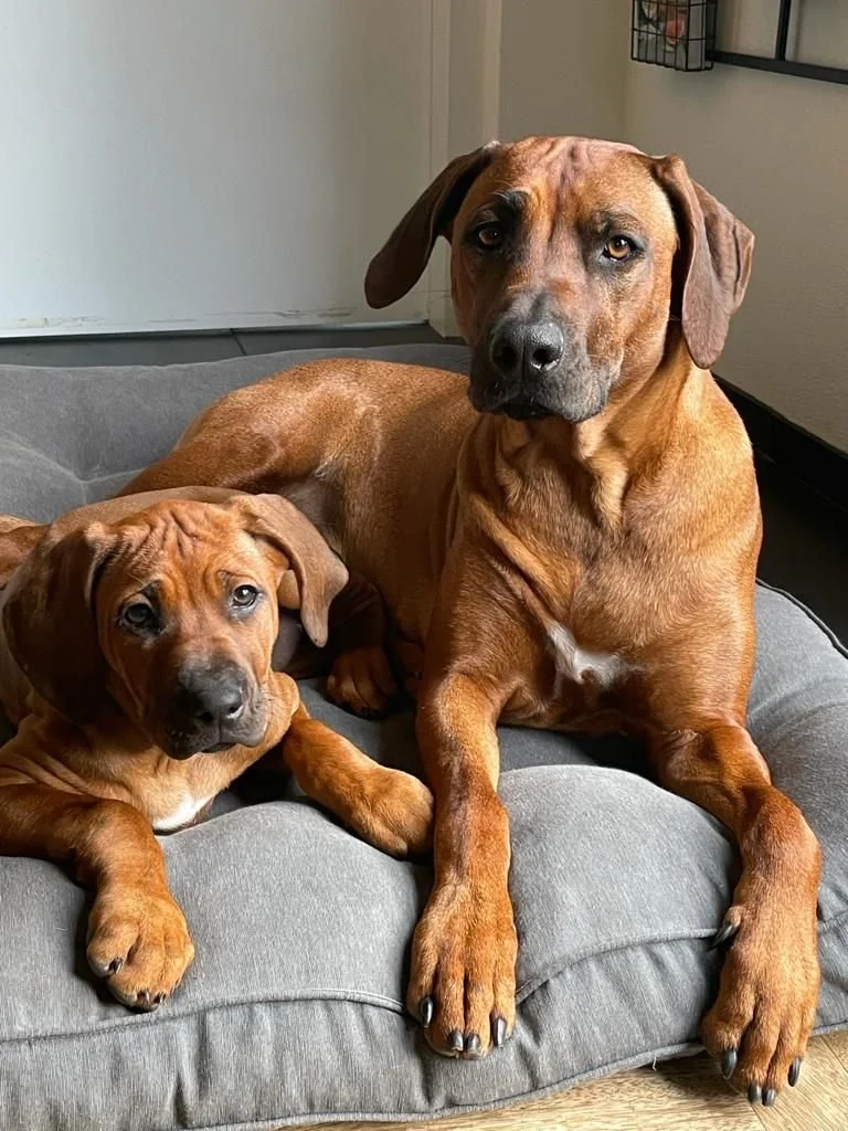 WhatsApp Image 2023-06-13 at 20.48.49.jpeg