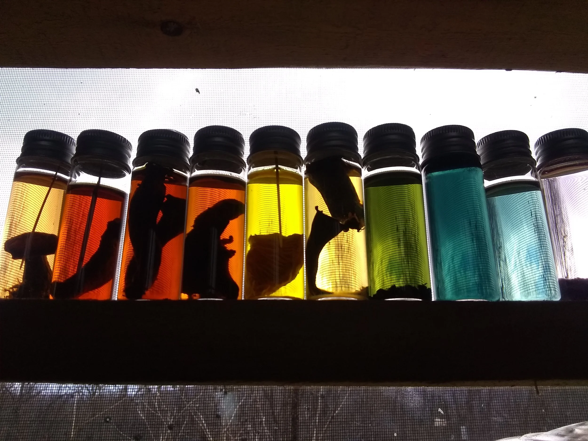 Lecture on the Lawn: Mushroom Dyes 101