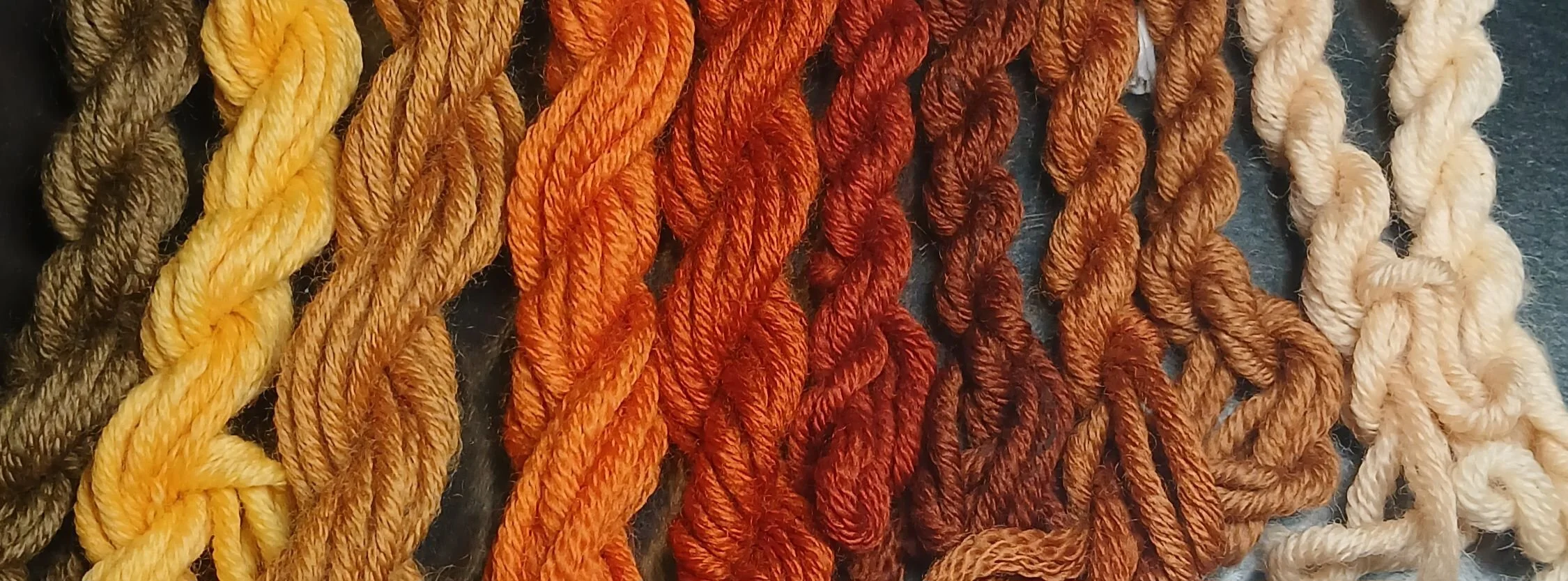 Mushroom Dyeing Workshop