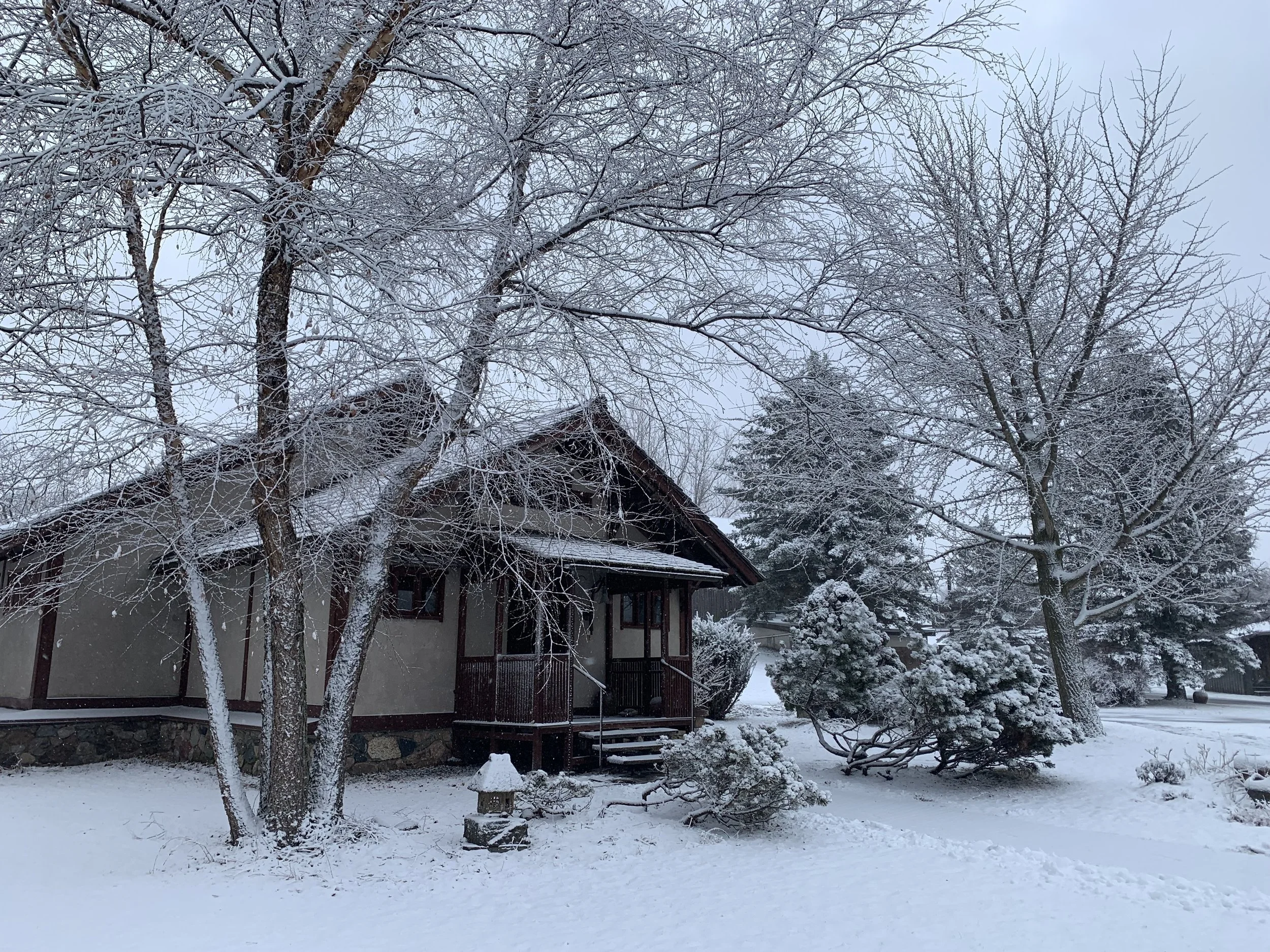 Holiday Studio Sale